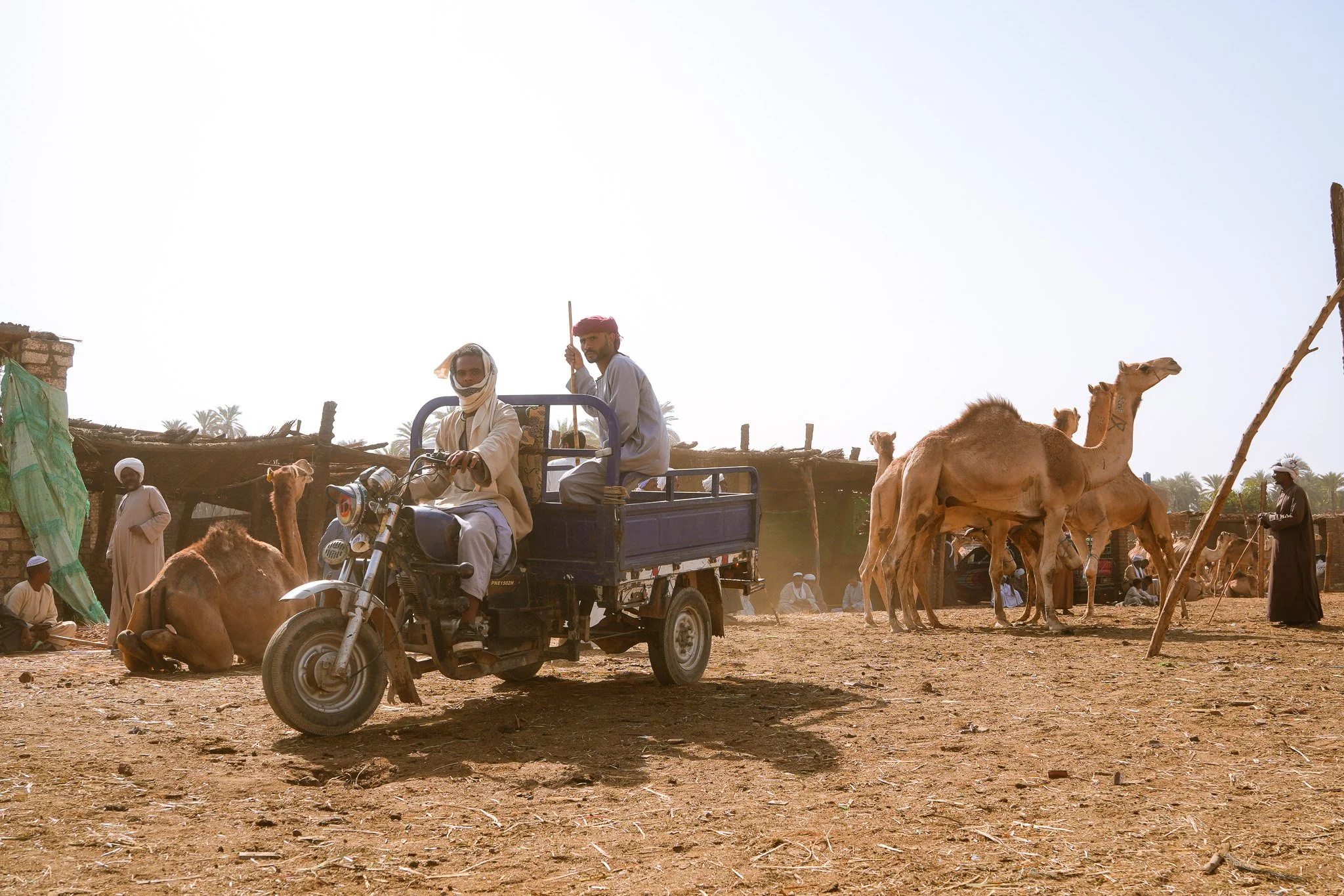 A man riding a motorcycle with a sidecar carrying two other men in a desert village with camels and traditional structures in the background.