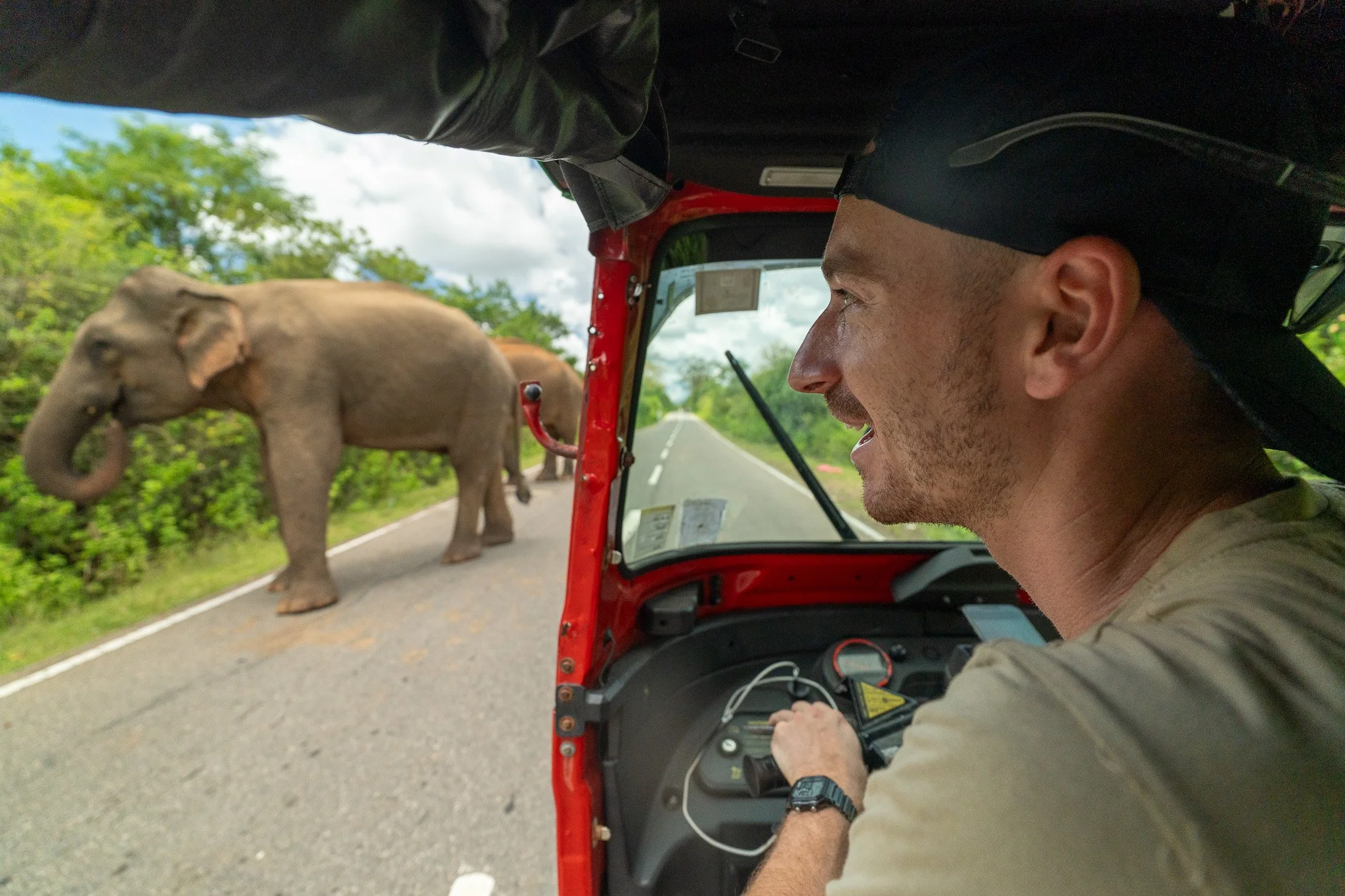 A man driving a red tuk-tuk on a road with green trees and two elephants standing nearby on the side of the road.