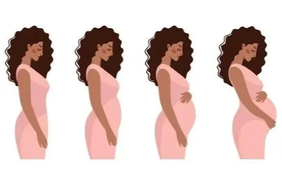 Illustration of four side profiles of a pregnant woman with different belly sizes, showing various stages of pregnancy.