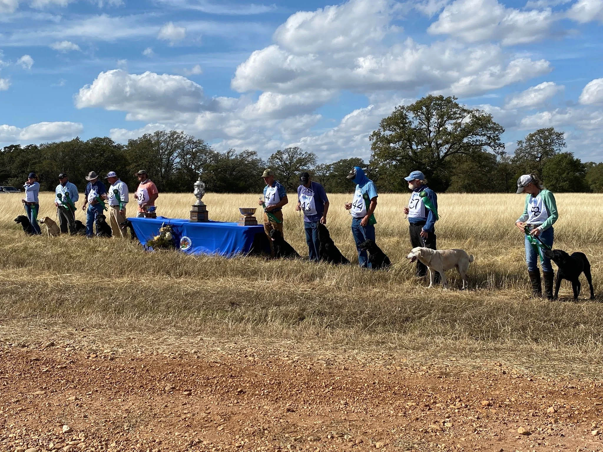 03927E04-C90F-46D2-BA99-AD812B4CA838 (1).jpeg