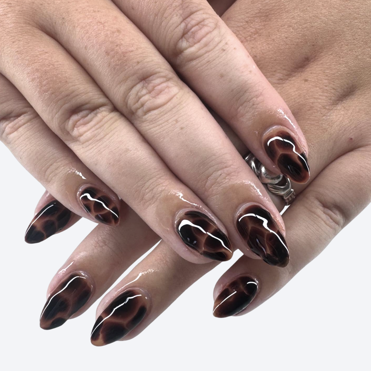 Full Tortoise Shell Set