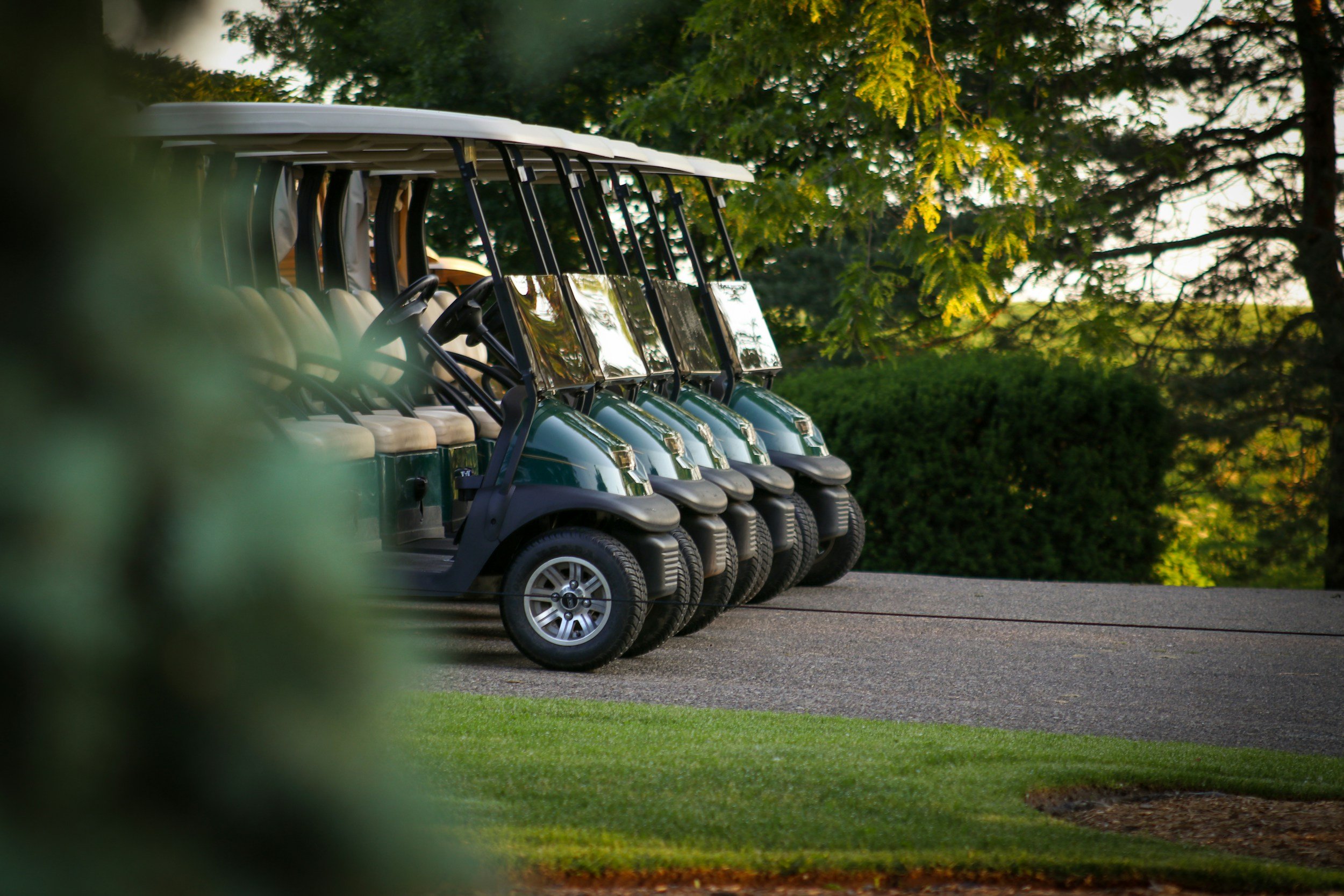 Five green golf carts parked on a paved path, with trees and greenery in the background during late afternoon.