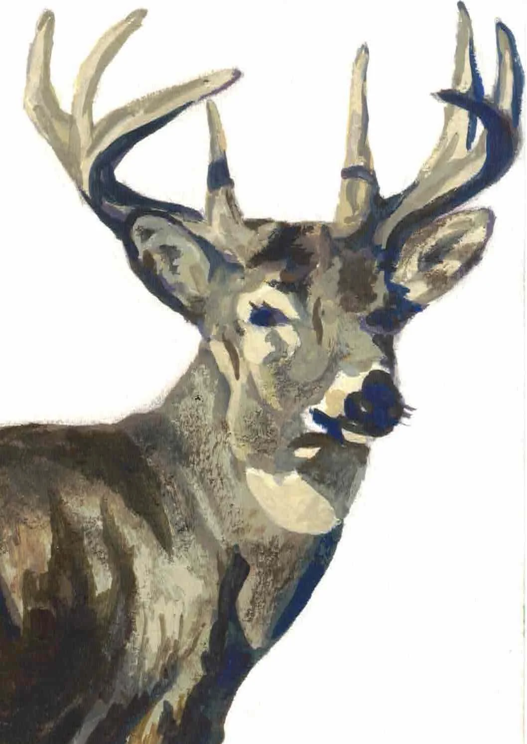 Buck Gouache Painting