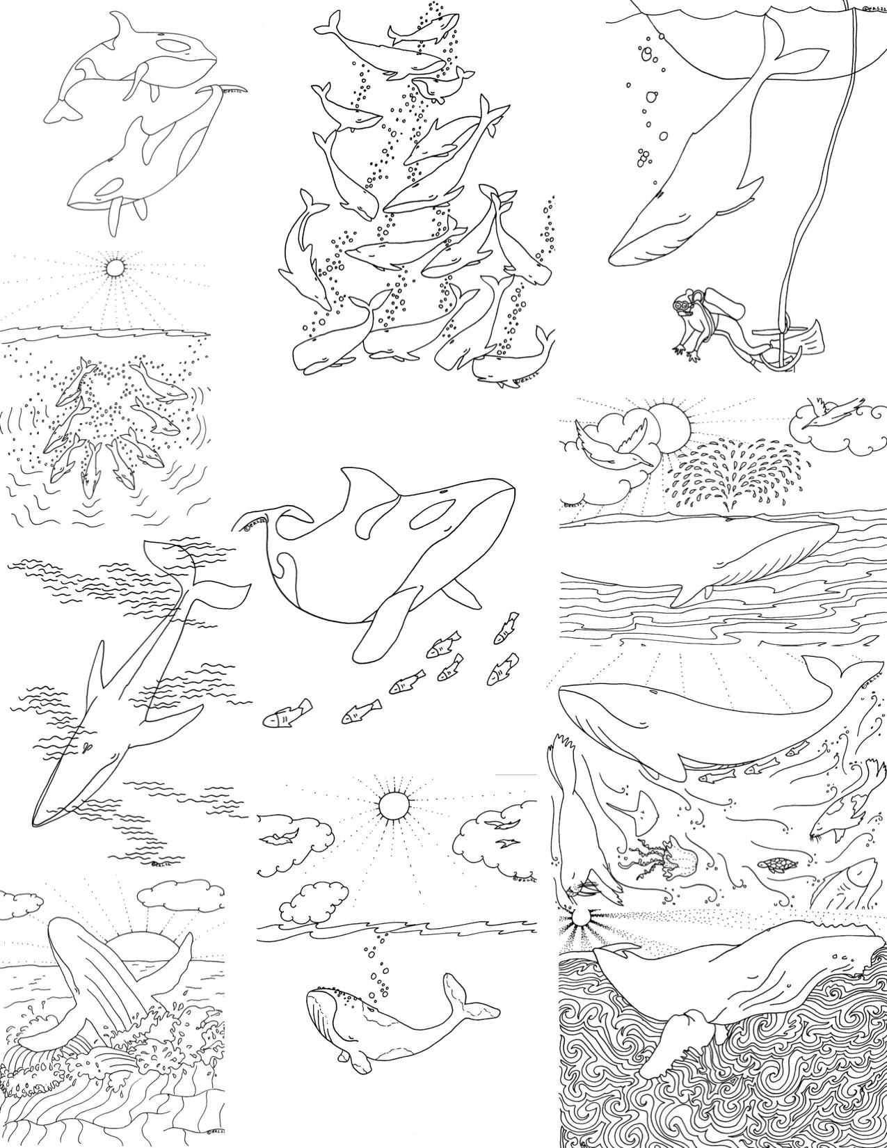 wishes to the whales6.jpg