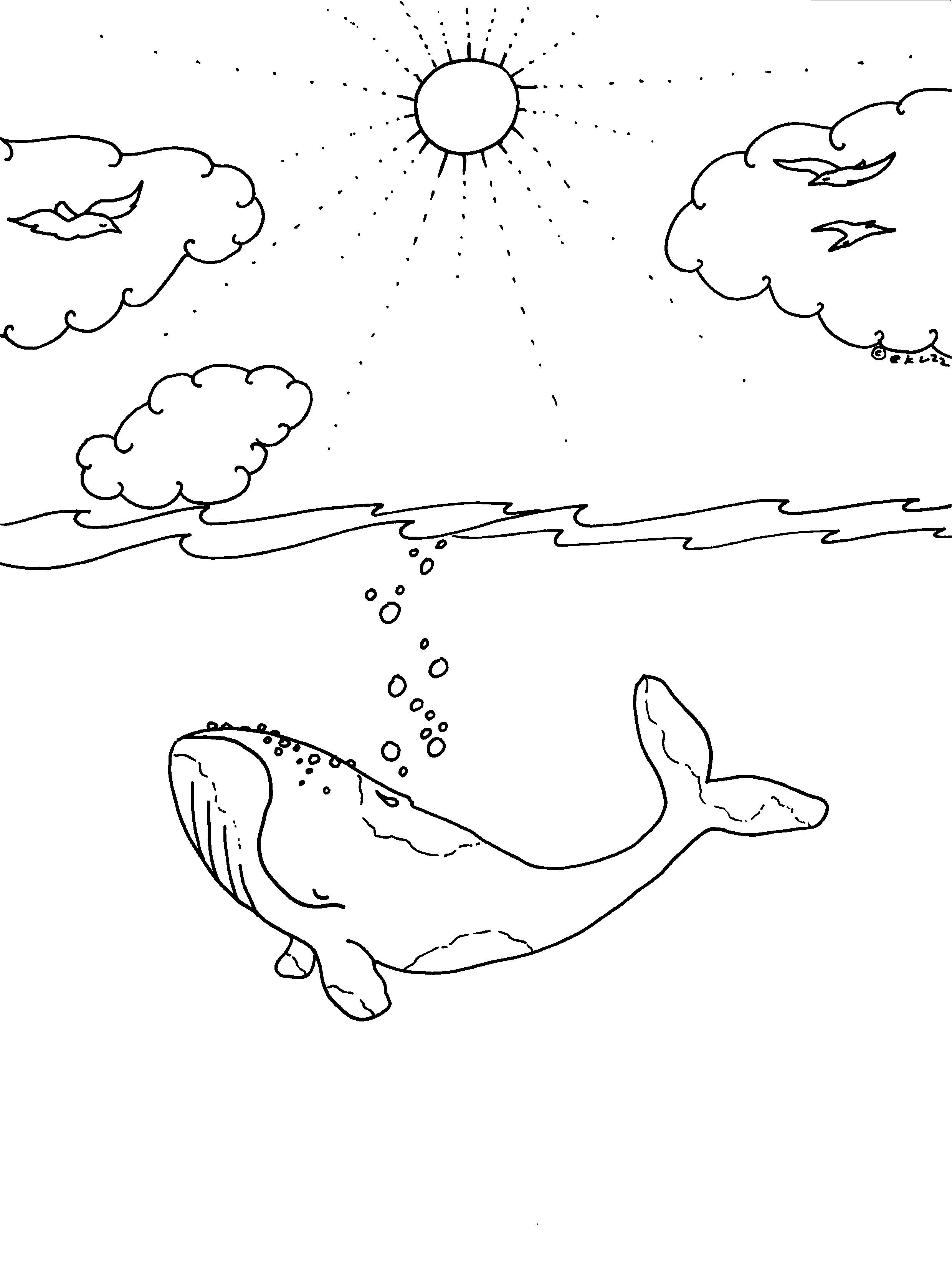 Sunshine Whale
