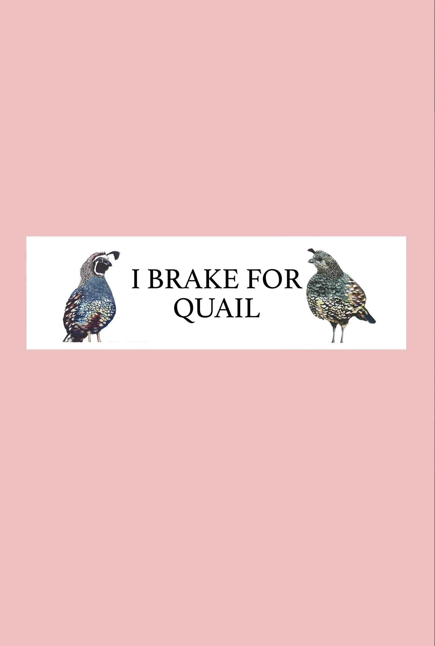 I Brake for Quail Bumper Sticker