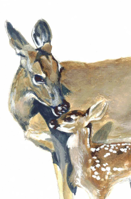 Screen Shot 2026-02-16 at 8.34.51 PM.png