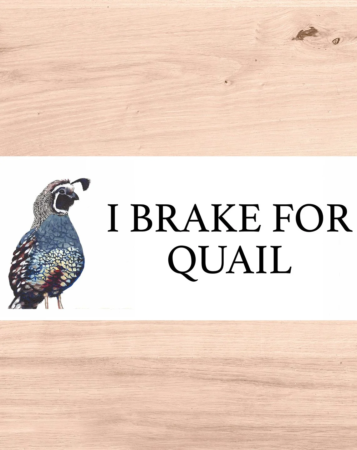 I Brake for Quail Bumper Sticker
