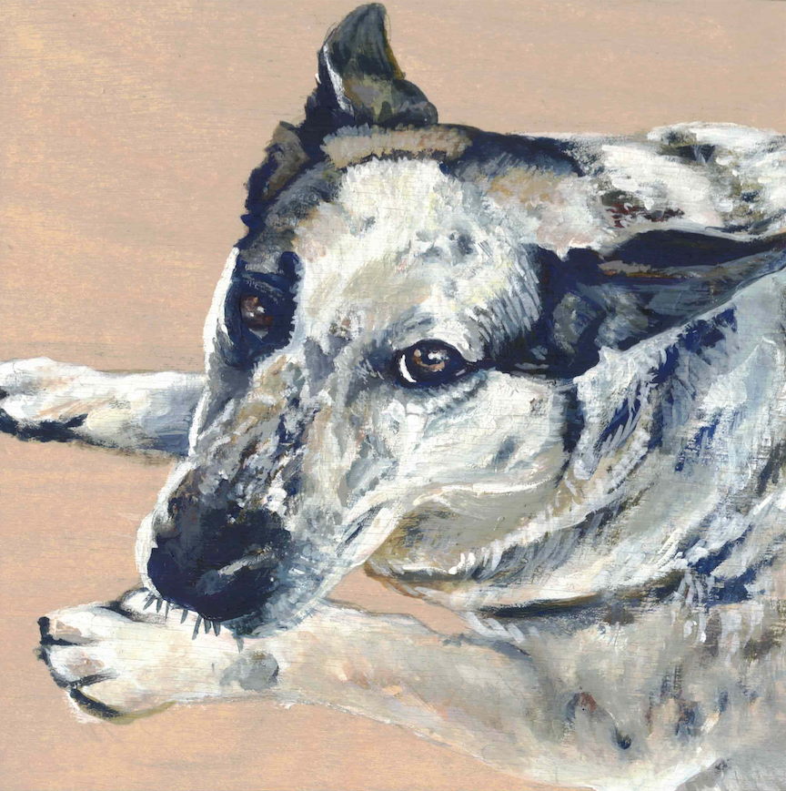 Pet Portrait Commission