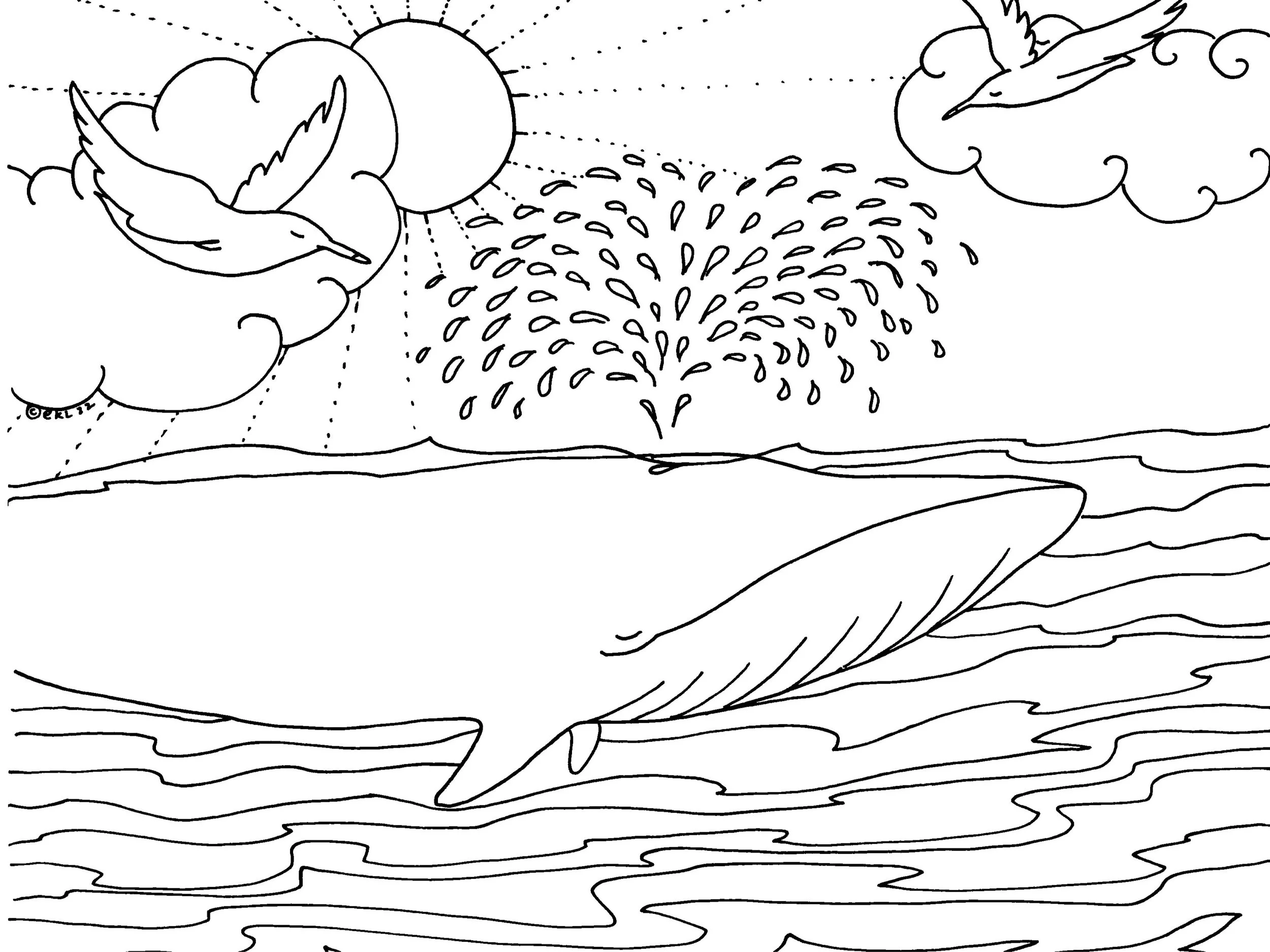 Spouting Whale