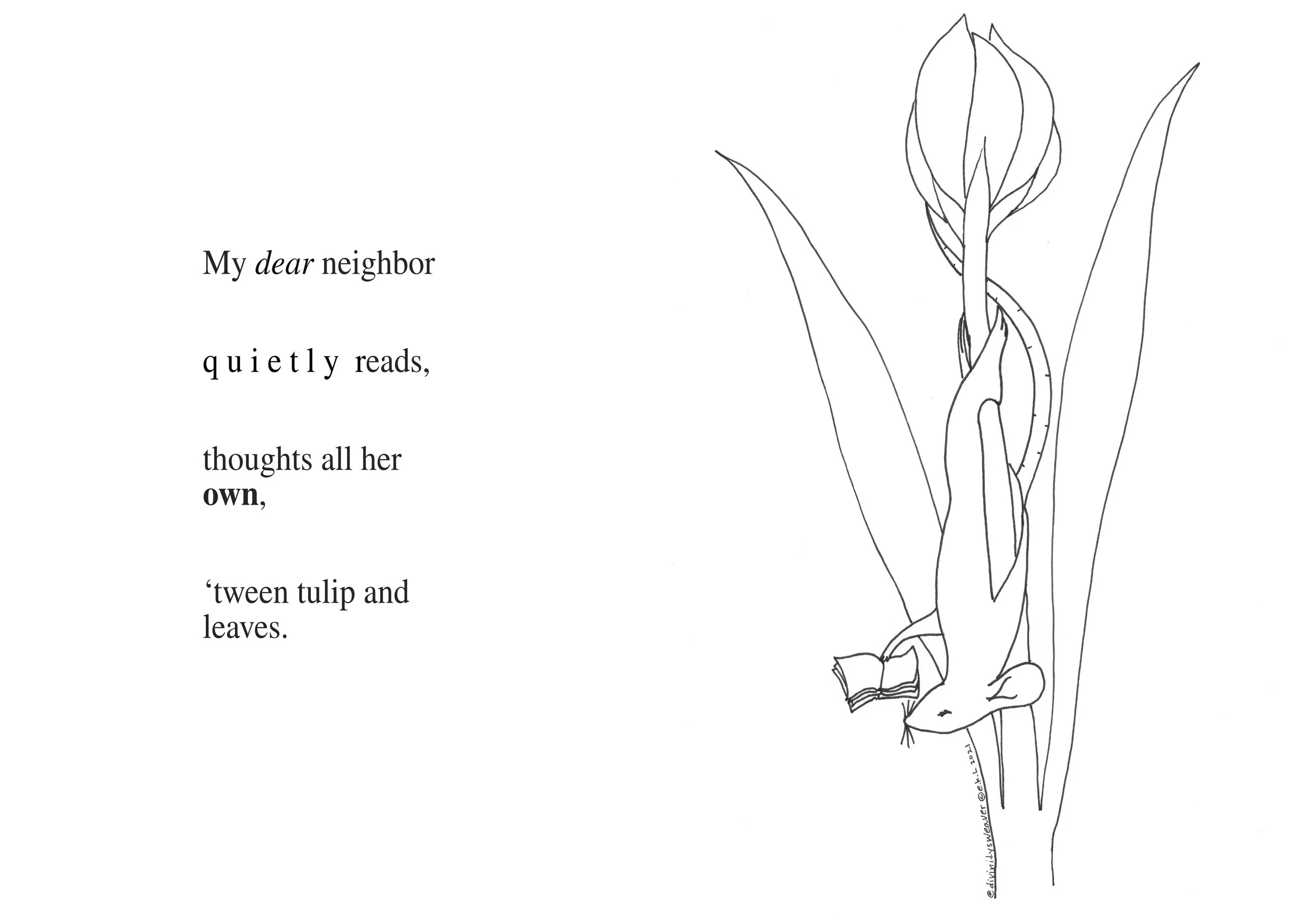 Our Neighbors book final spread preview 3.jpg (Copy)