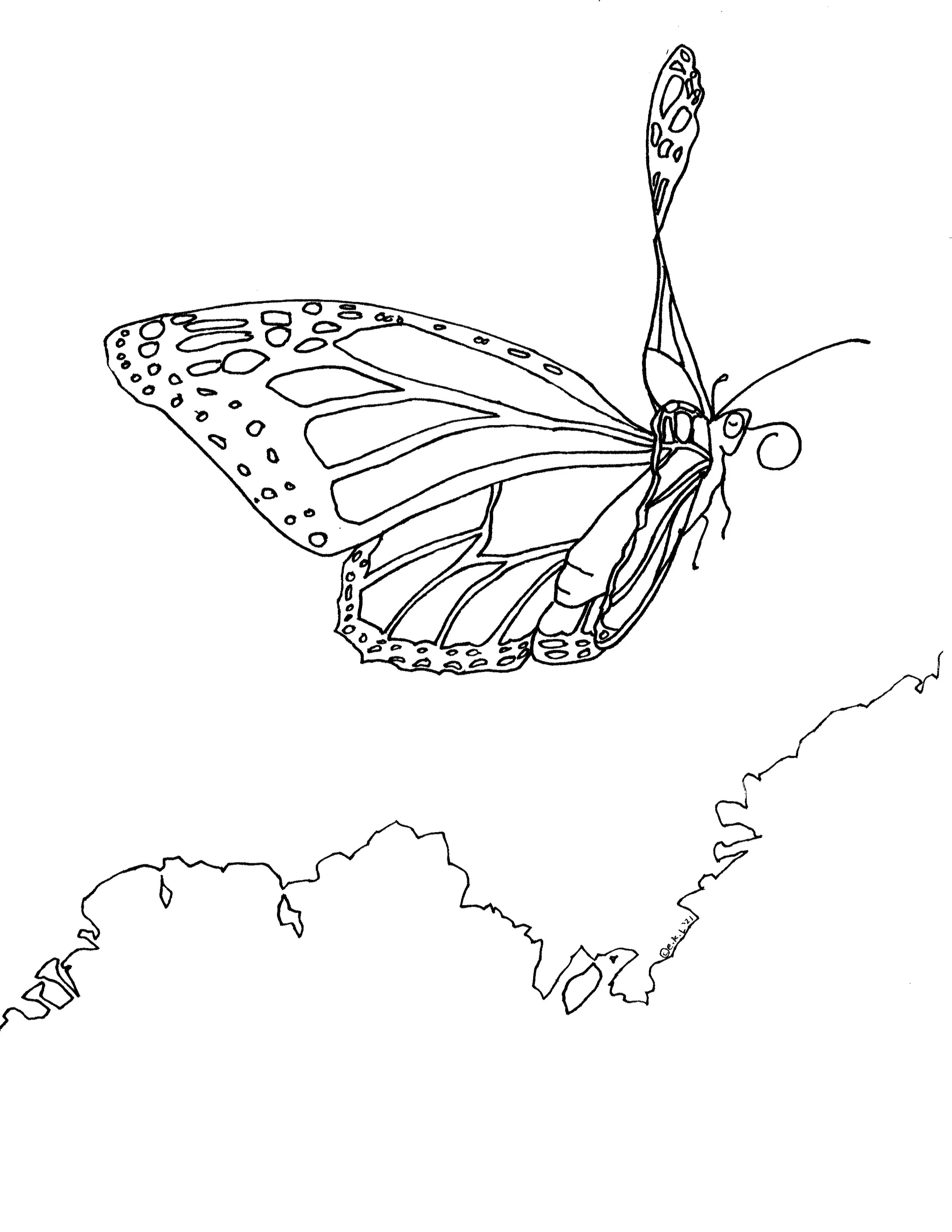 realmonarchcoloringbook_21.jpg