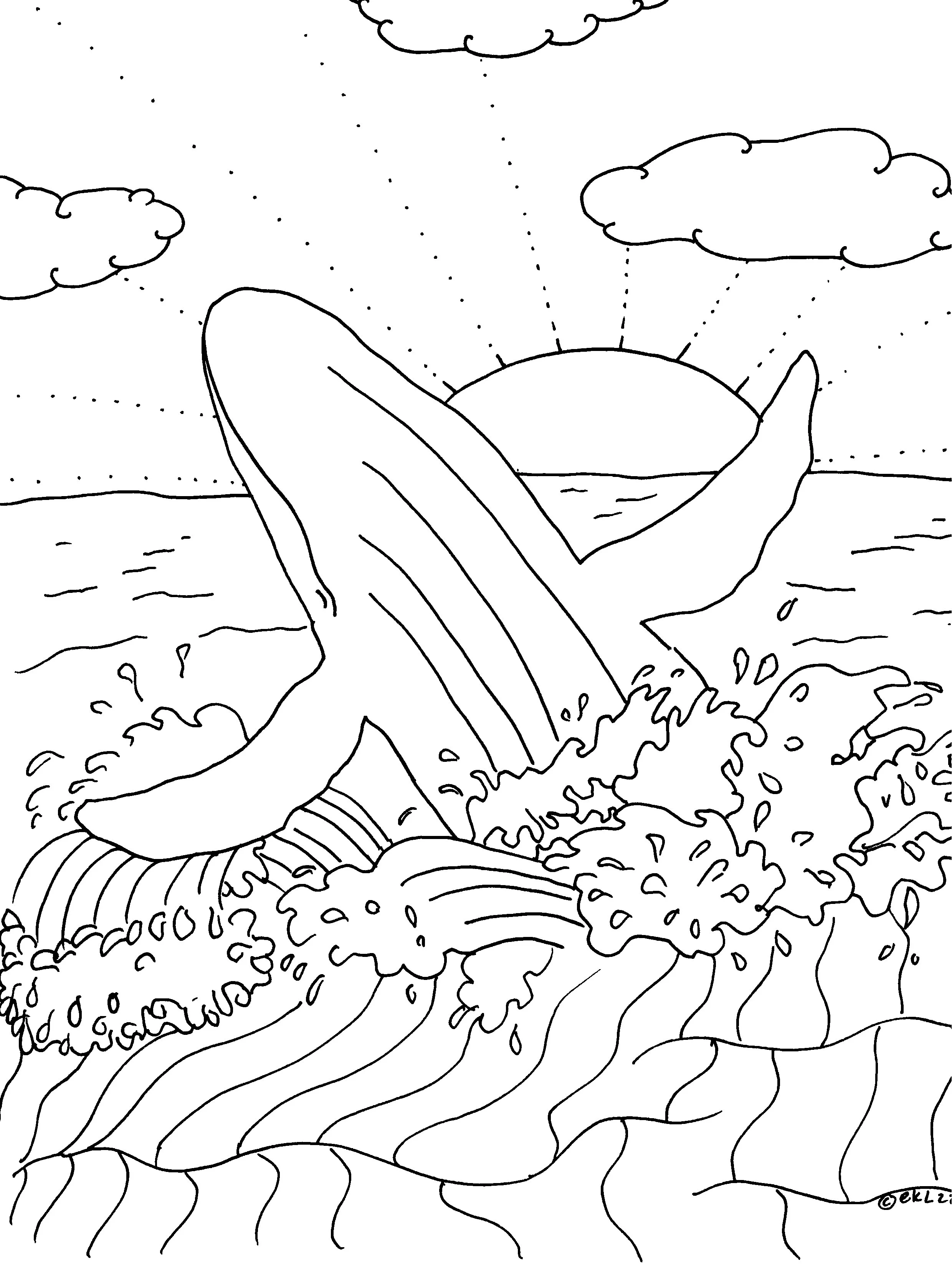 whalesbw 2 copy.jpg