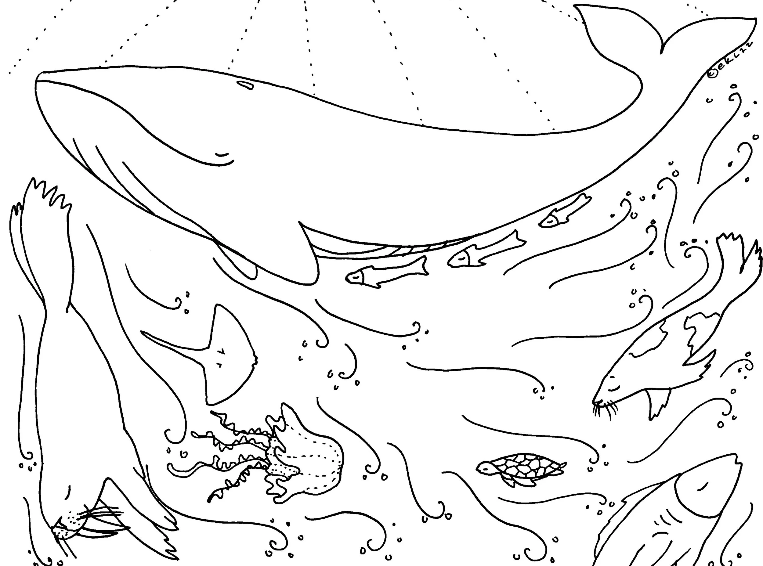Community Whale