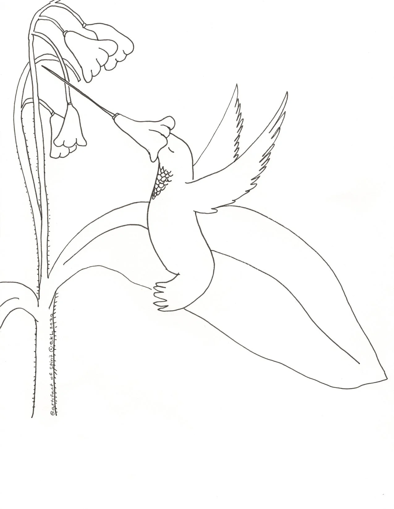Hummingbird Card