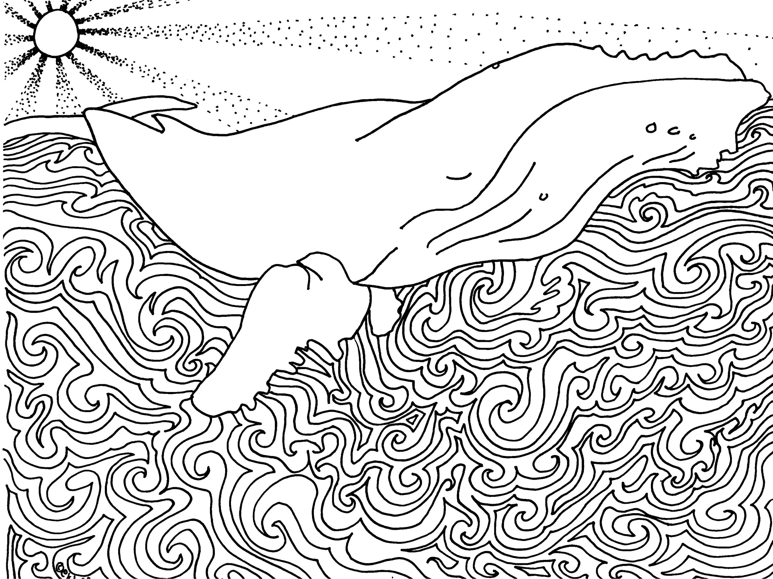 Humpback Whale