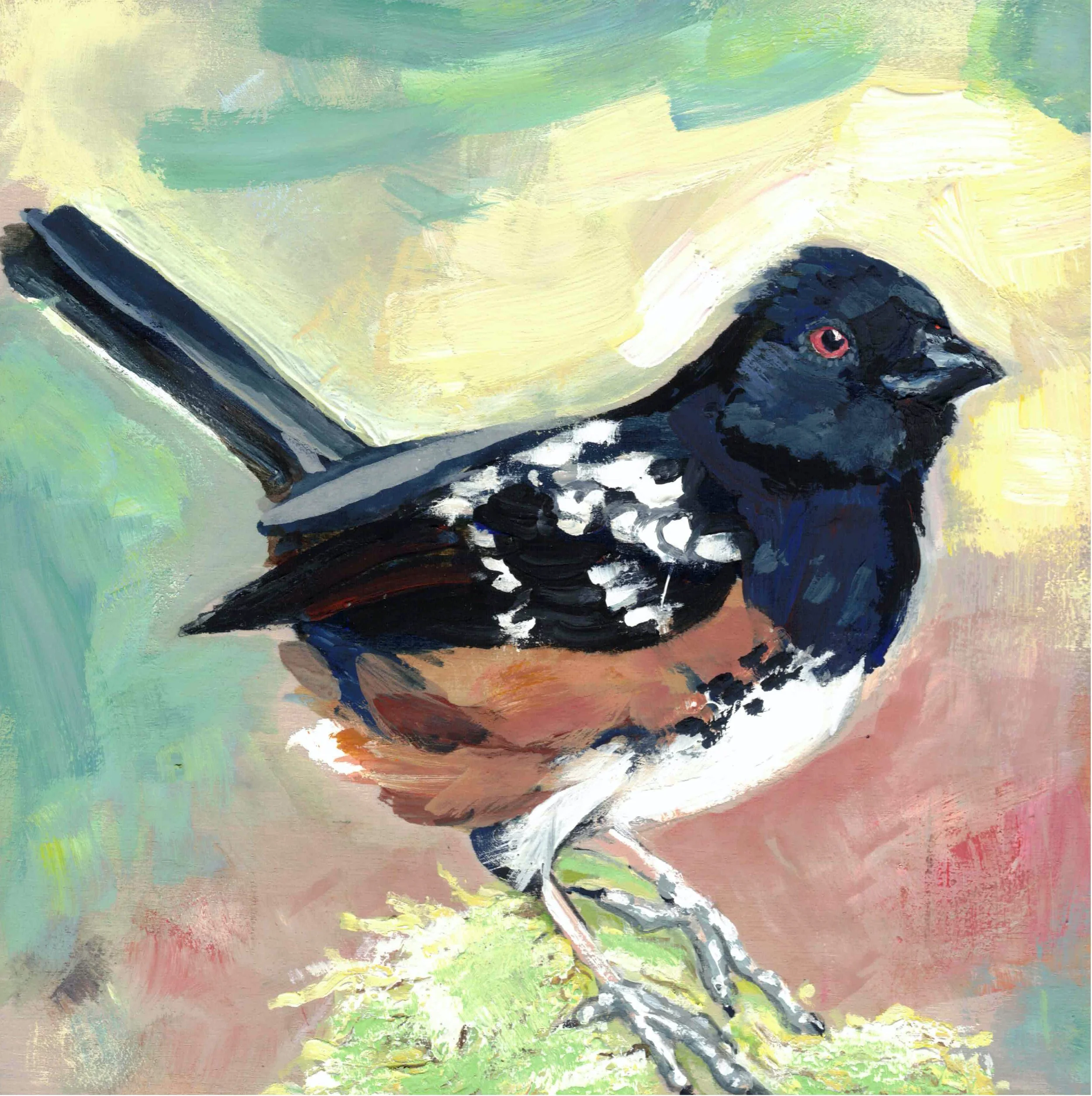 Spotted Towhee Gouache Painting