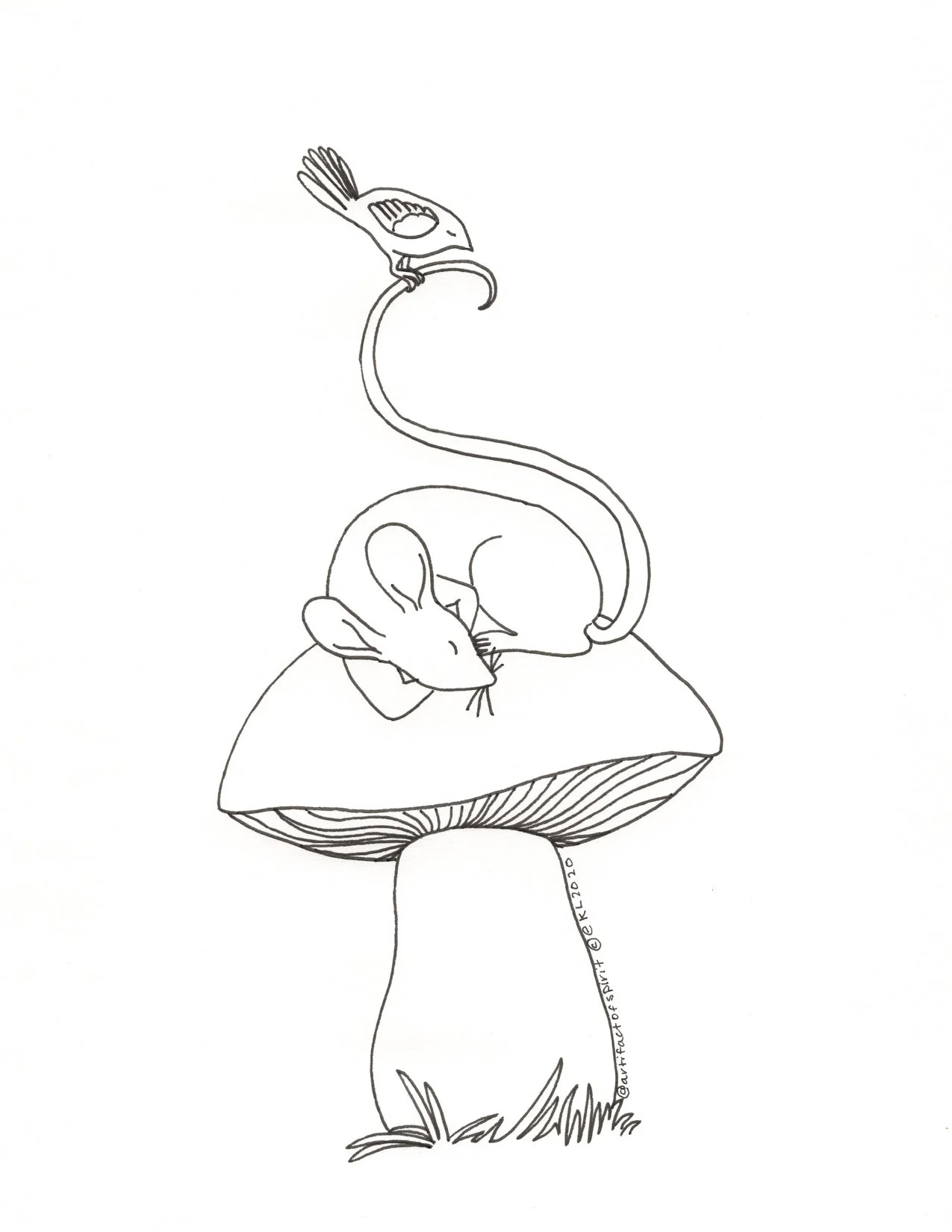 Porcini Card