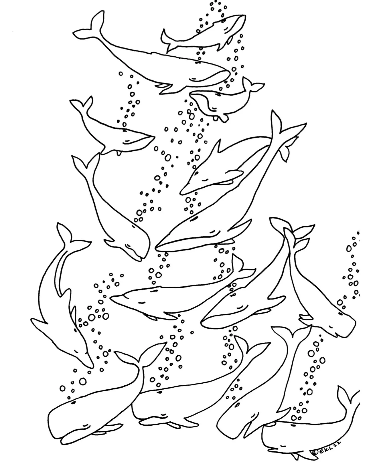 wishes to the whales4.jpg