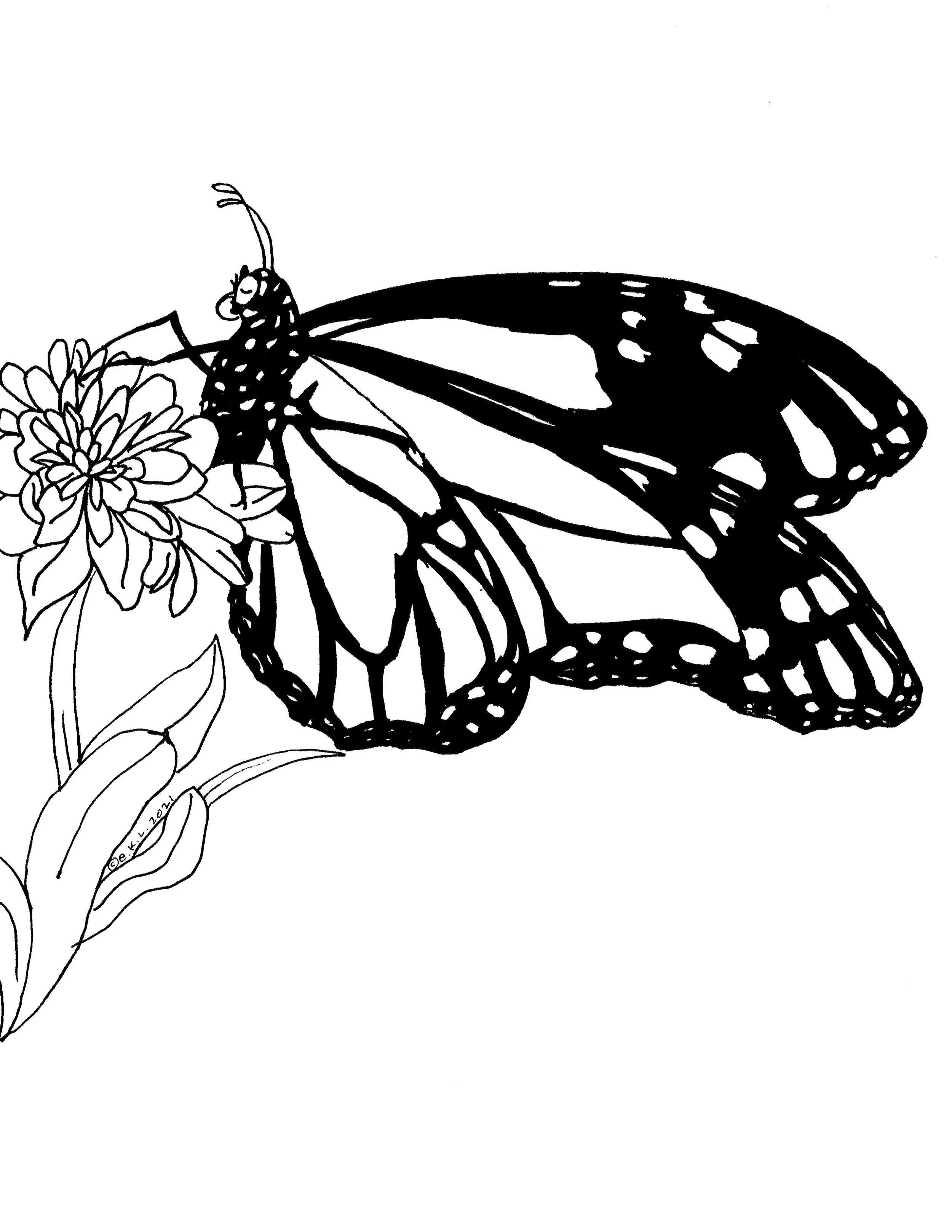 realmonarchcoloringbook_17.jpg