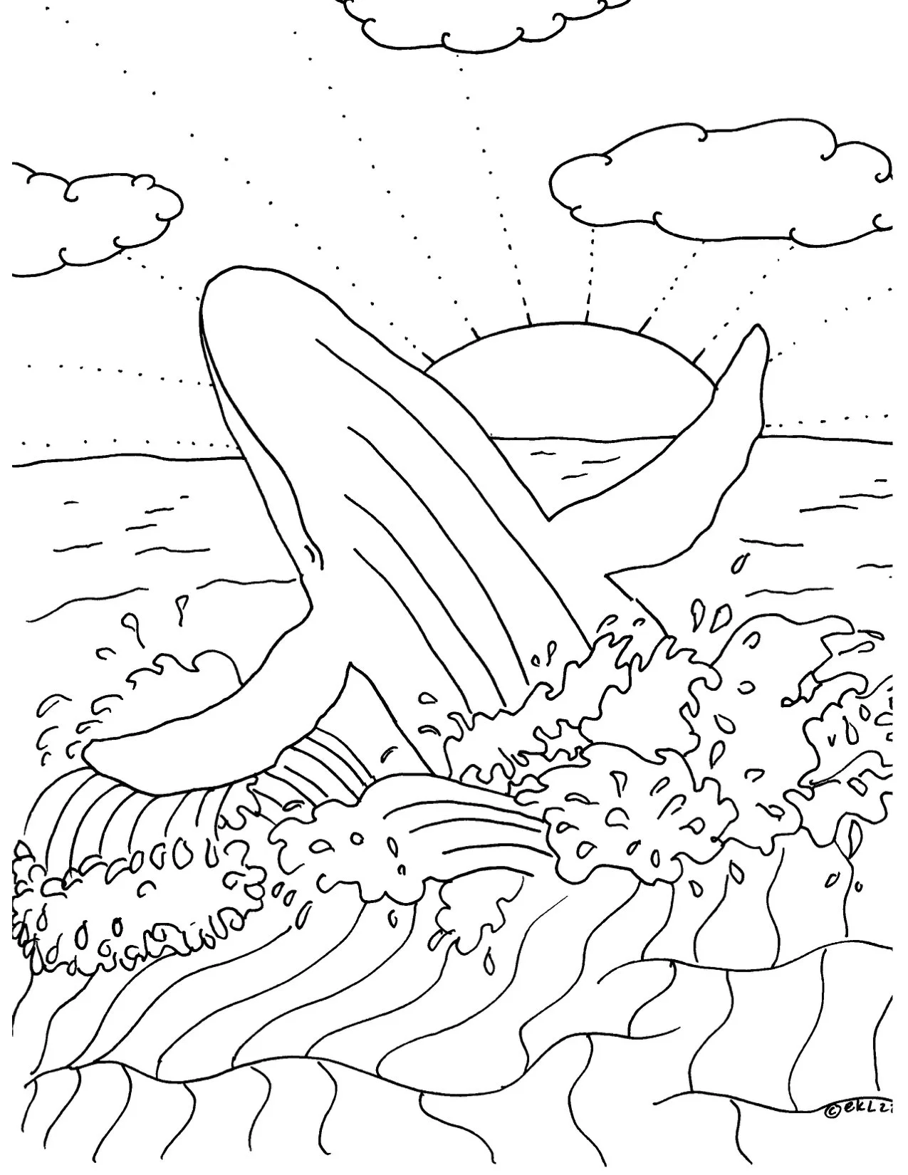 wishes to the whale5.jpg