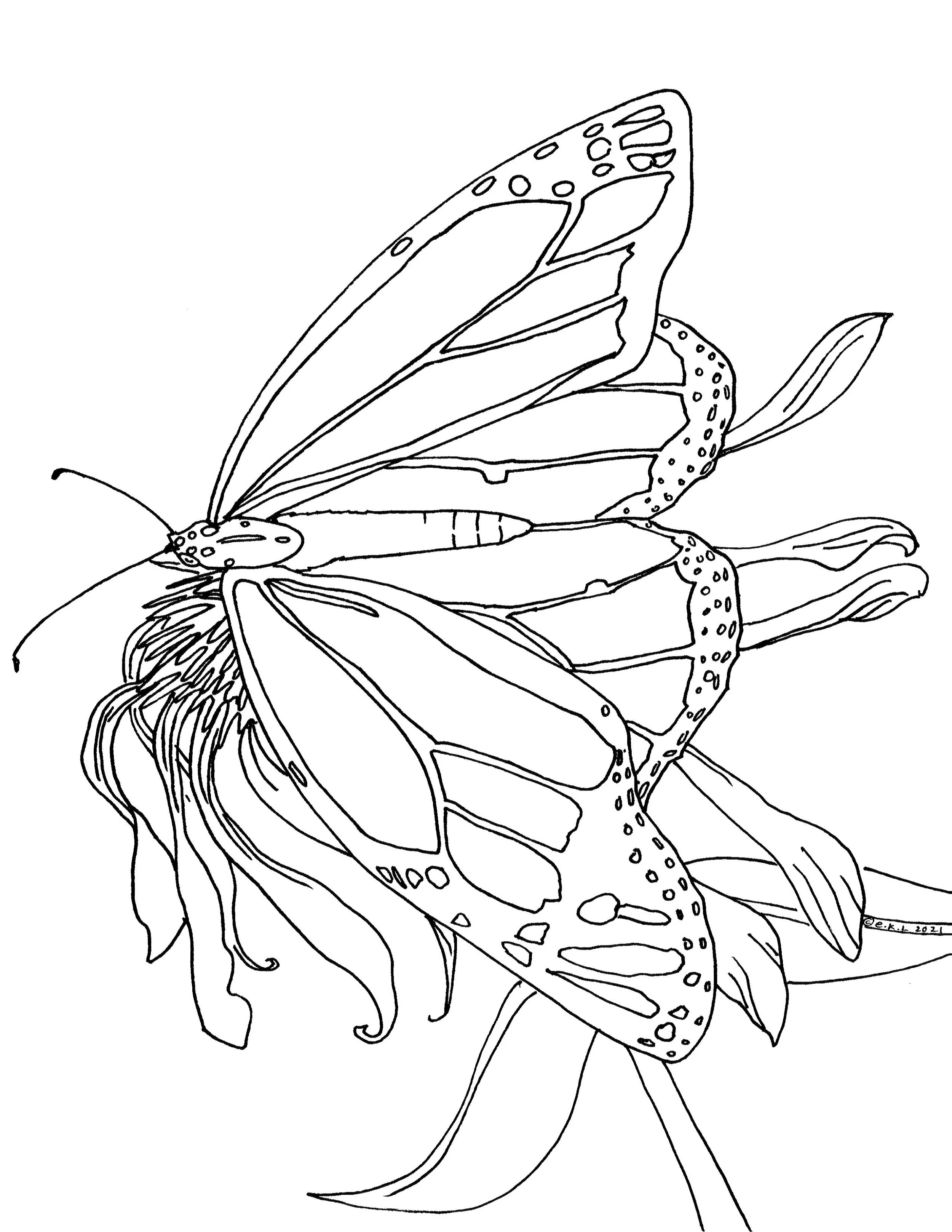 realmonarchcoloringbook_11.jpg