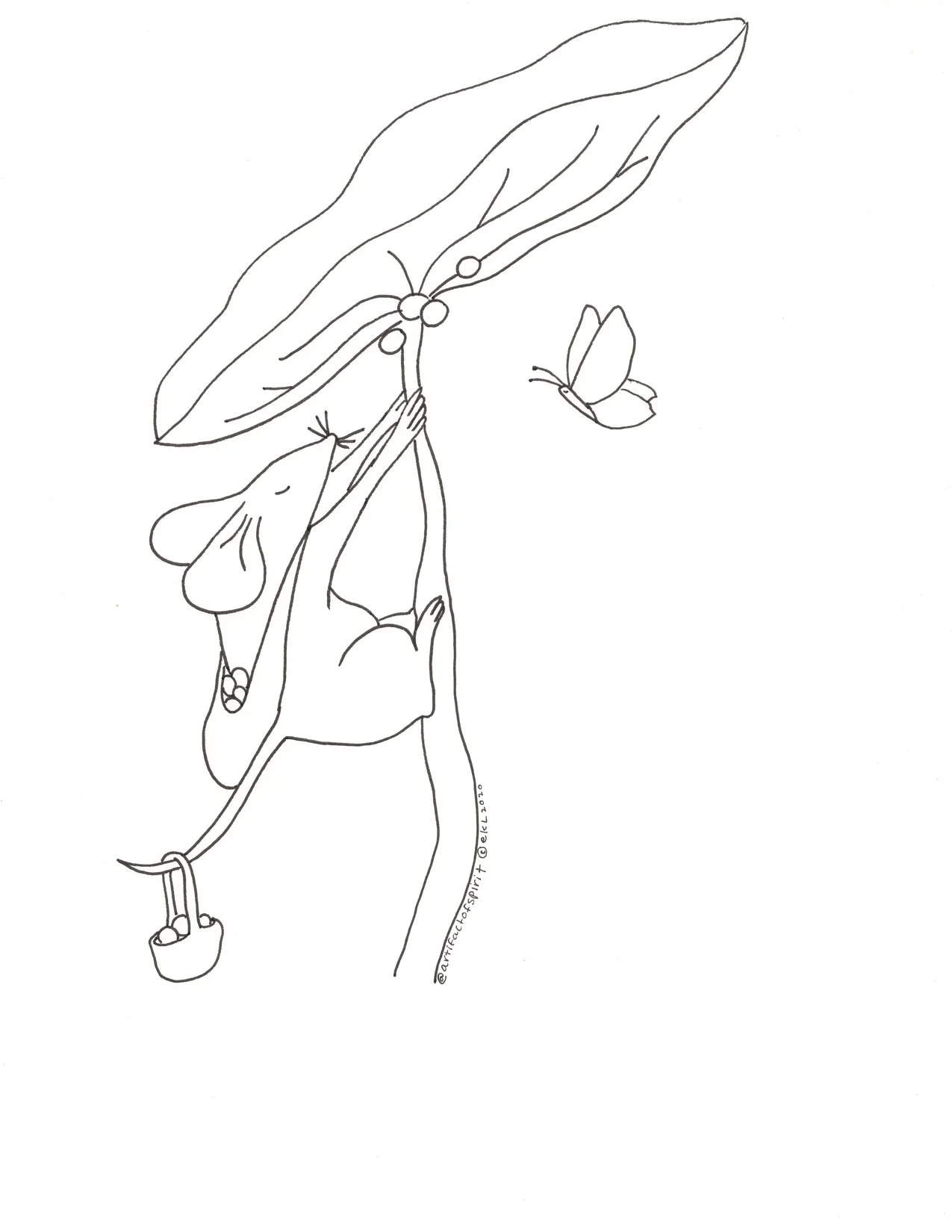 Forage Card