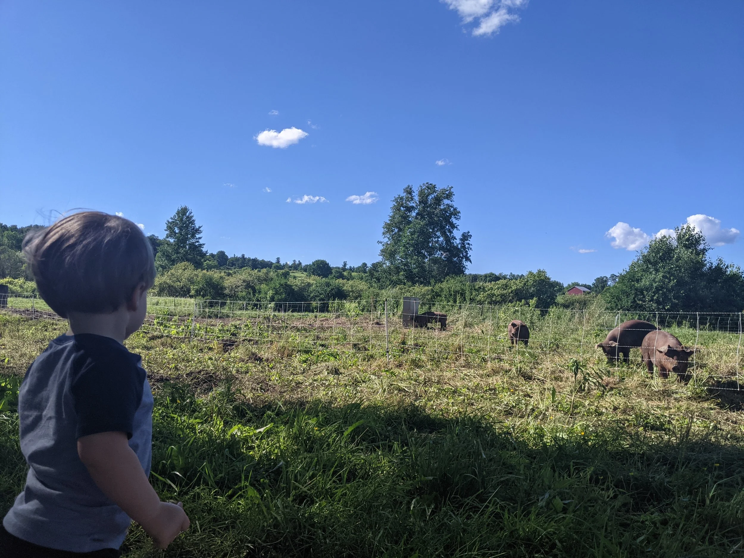 PXL_20210623_205628539 (1).jpg