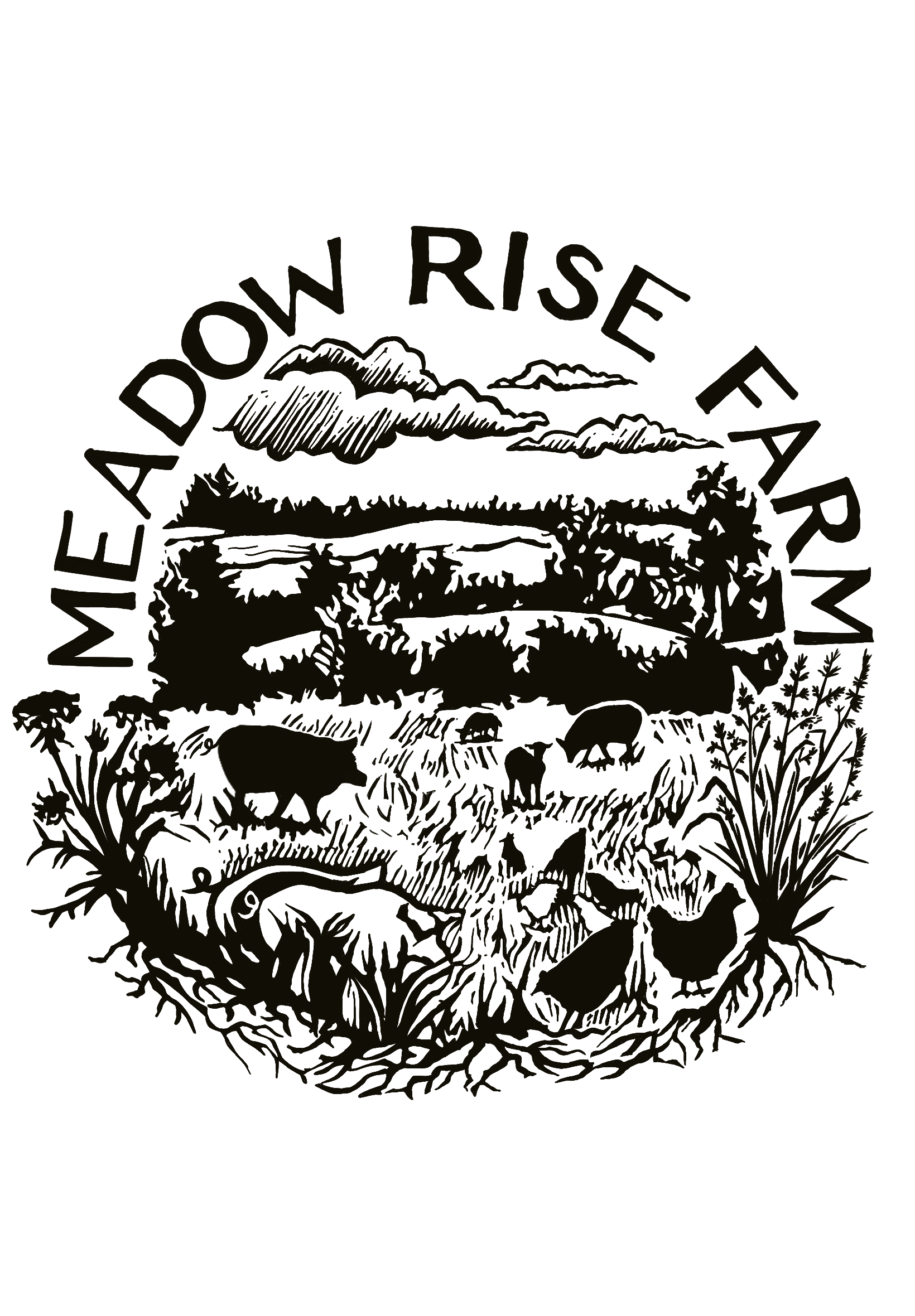 CSA Landing Page — Meadow Rise Farm