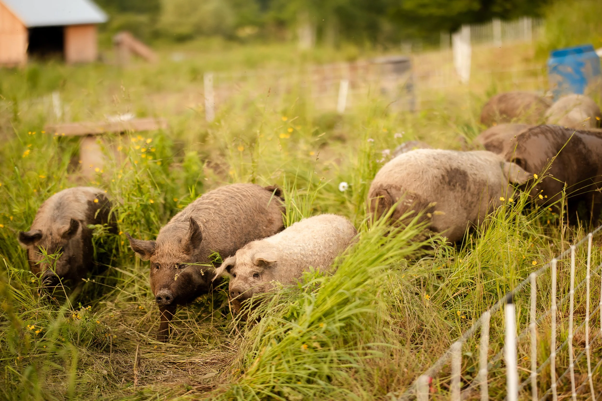 April_Newman_Photography_Maggie_Taylor_Family-2025-120 (1).jpg