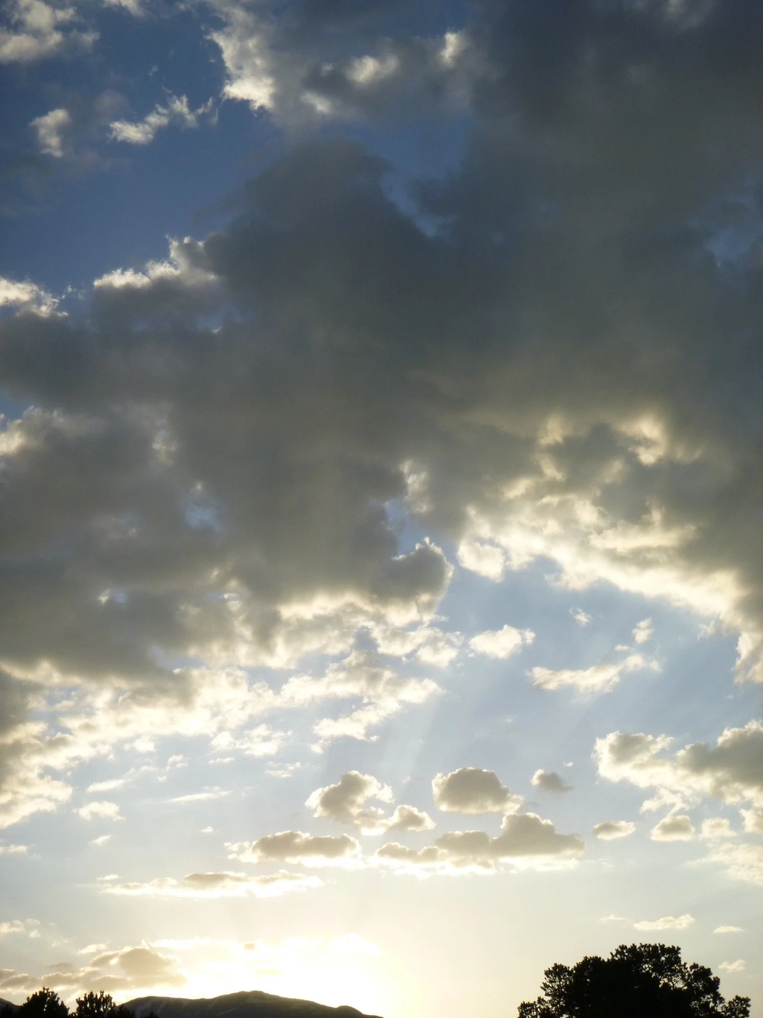 E90EB6B6-AA00-45FC-ADDB-B22C0096BC7A_1_102_o.jpeg