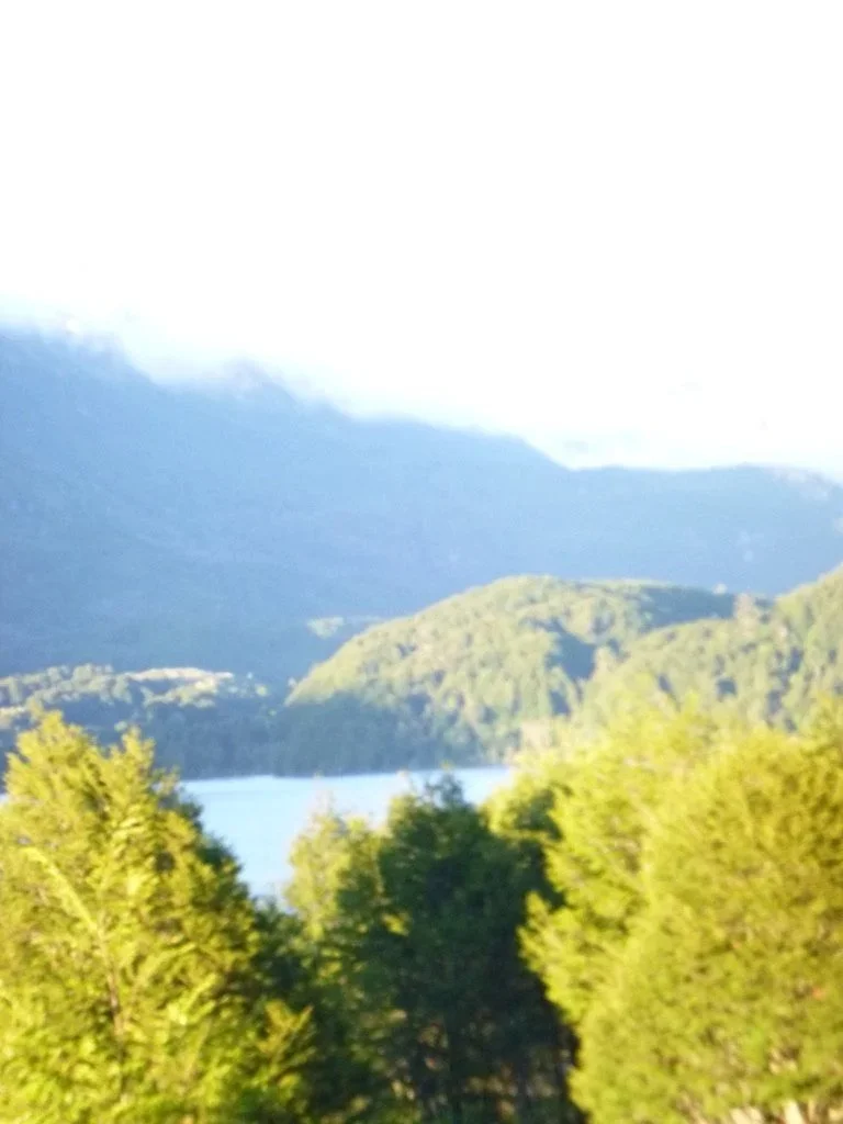 AEDF3176-DF47-483E-B785-32F9E41C3105_1_105_c.jpg