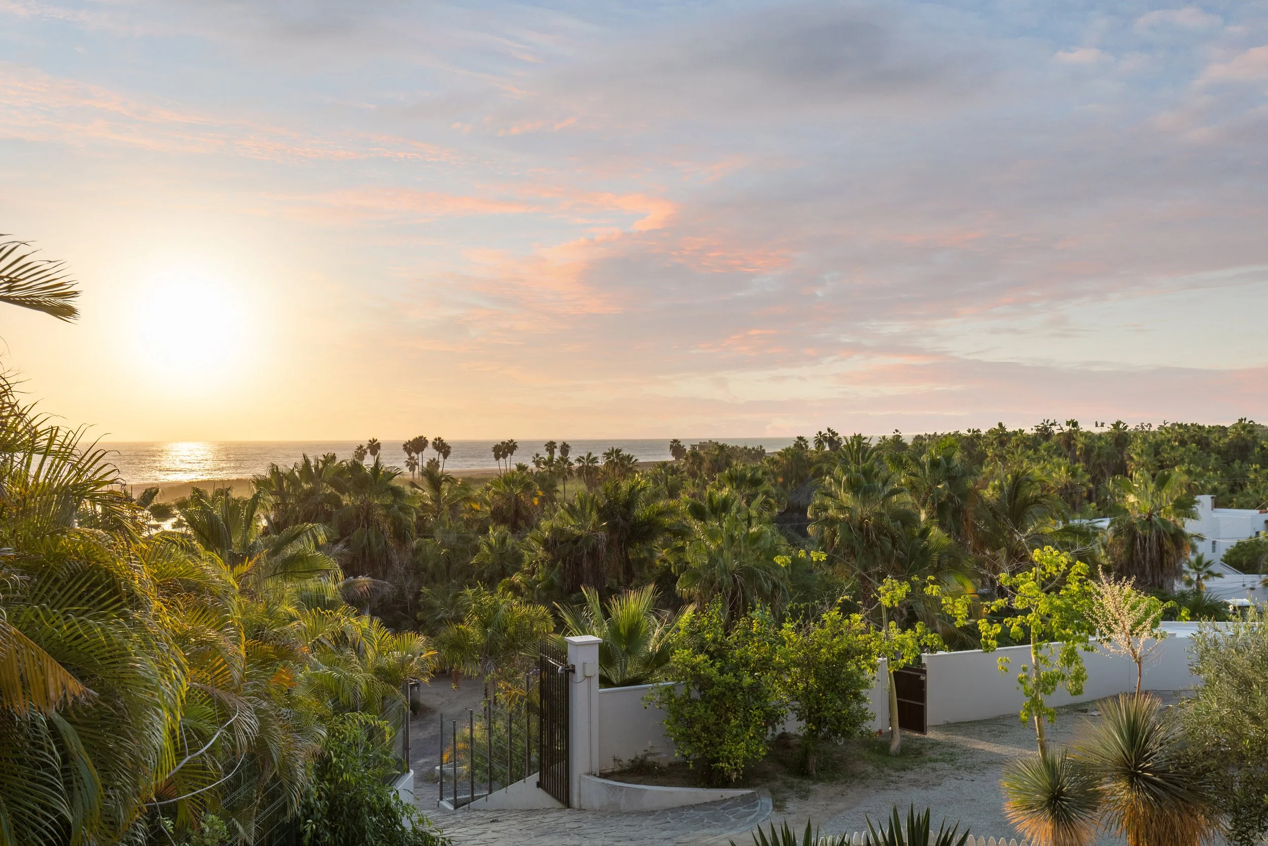 Sunset view over a lush tropical landscape with palm trees, green foliage, and a white fence, near a beach with the ocean in the background.