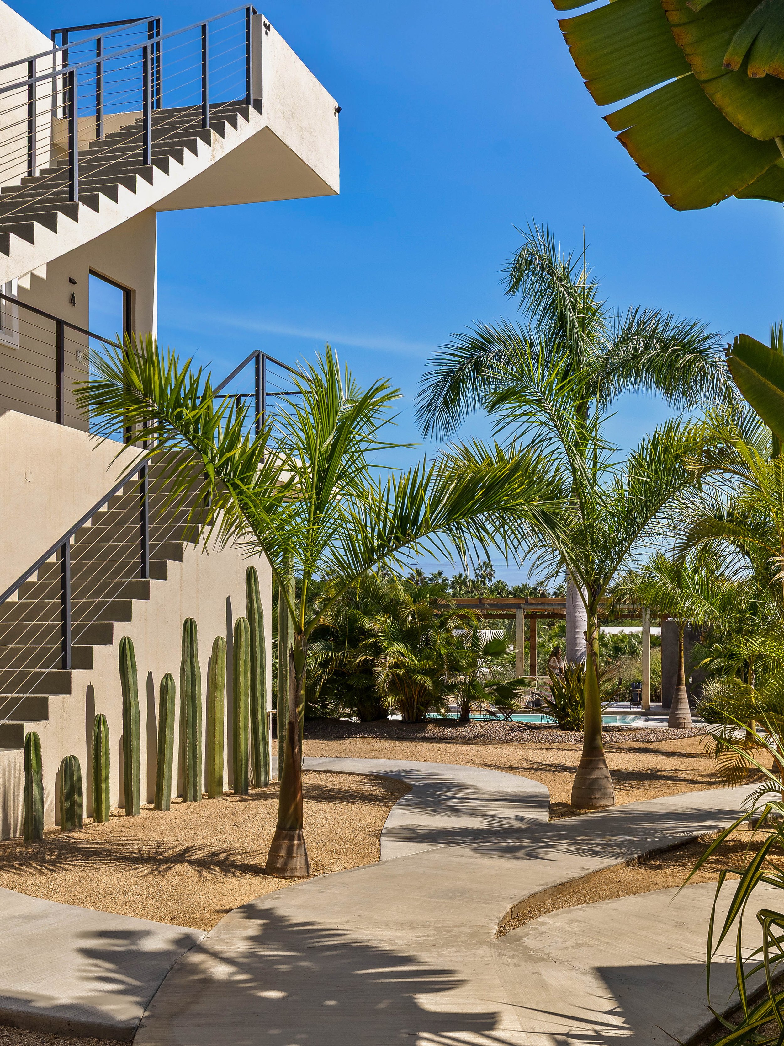 A sunny outdoor scene with a white building featuring external staircases, palm trees, cacti, and a winding concrete pathway, indicative of a warm, desert-like climate.