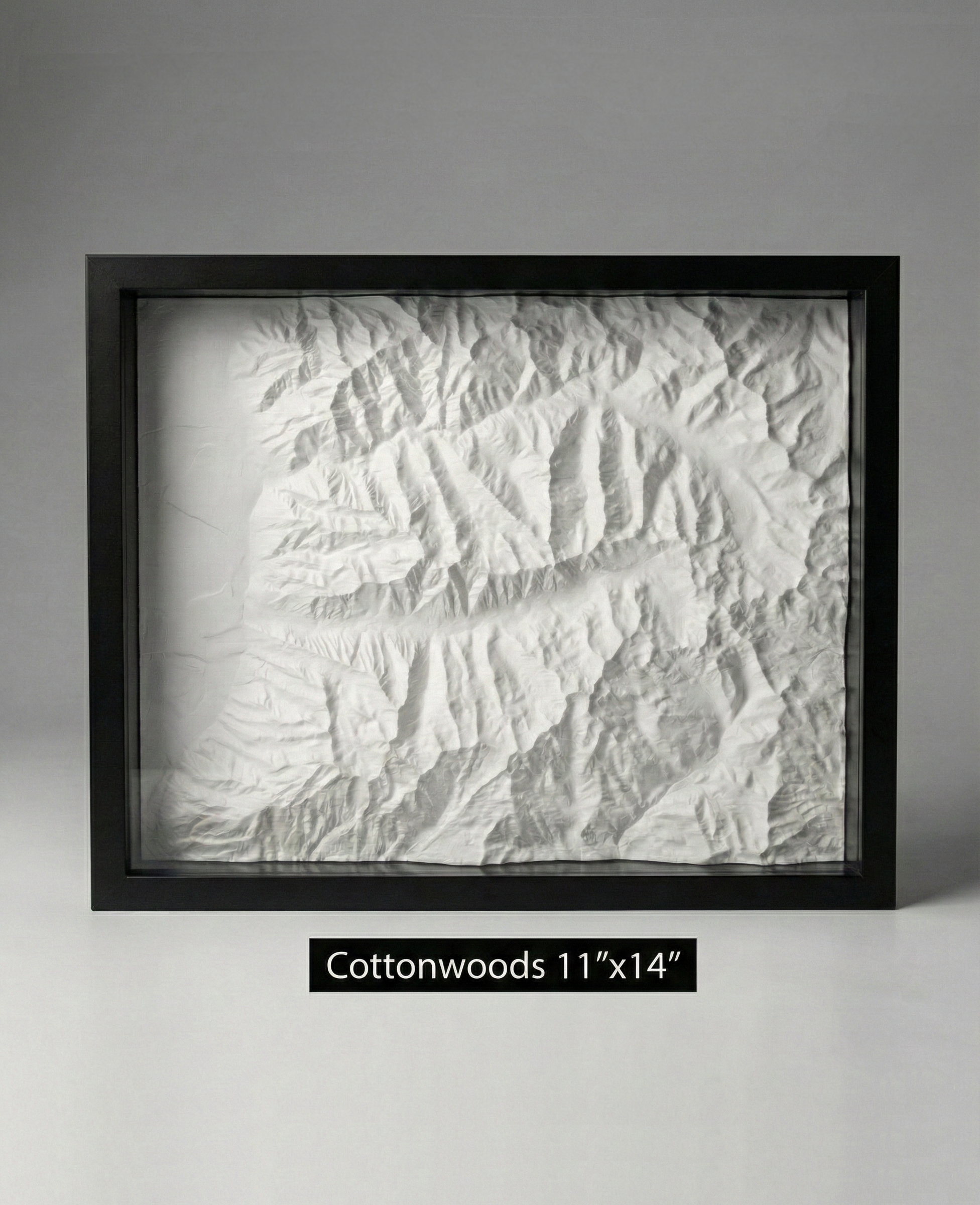 Gemini_Cottonwoods_11x14_1.png