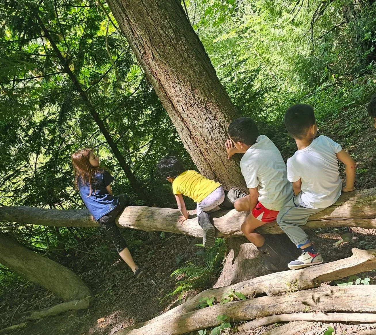 Group of children sitting and climbing on logs in a lush green forest, playing and exploring nature.