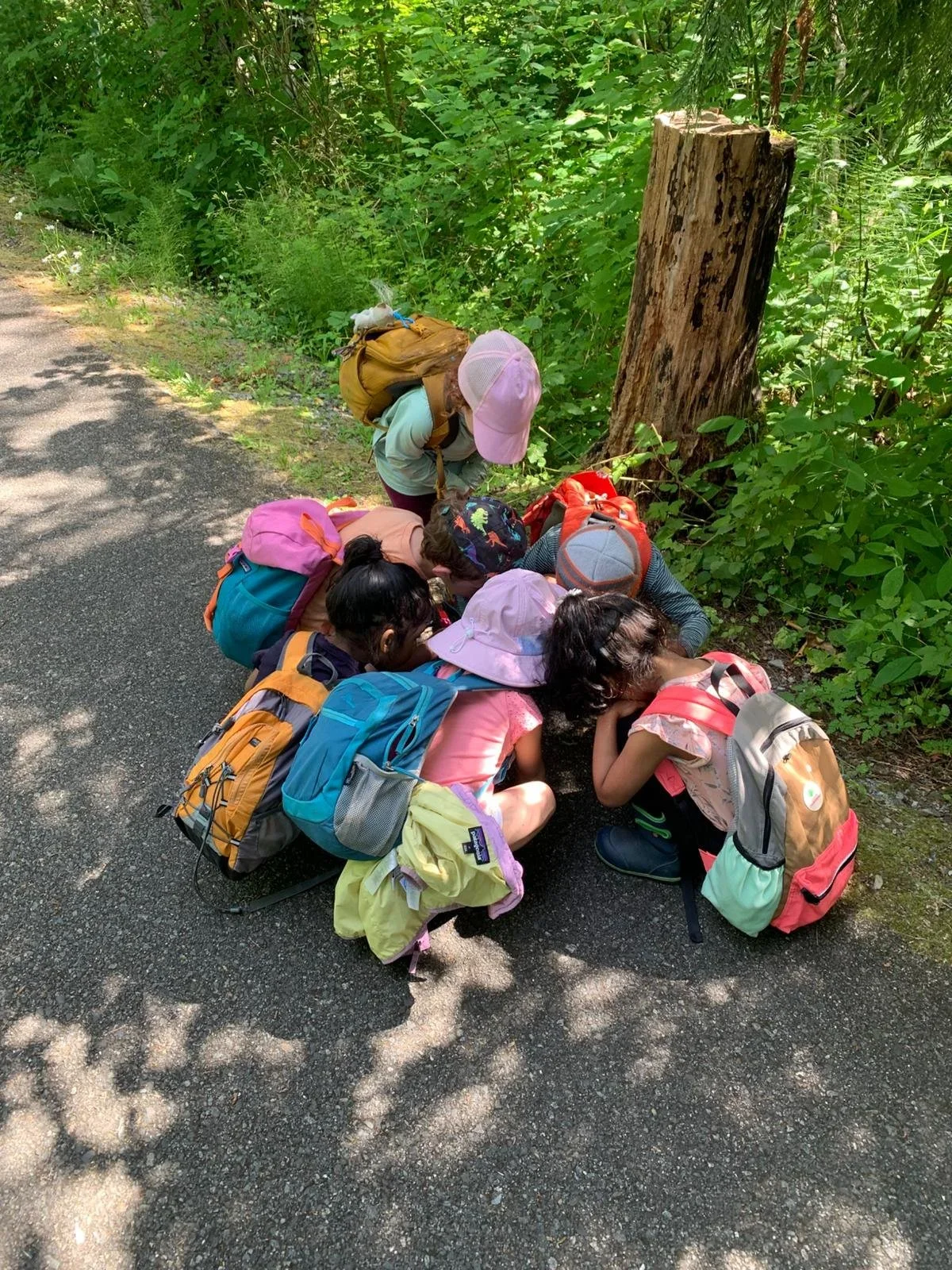 Group of children crouching down and looking at something on the ground near a big tree in a forested area, with backpacks on their backs.