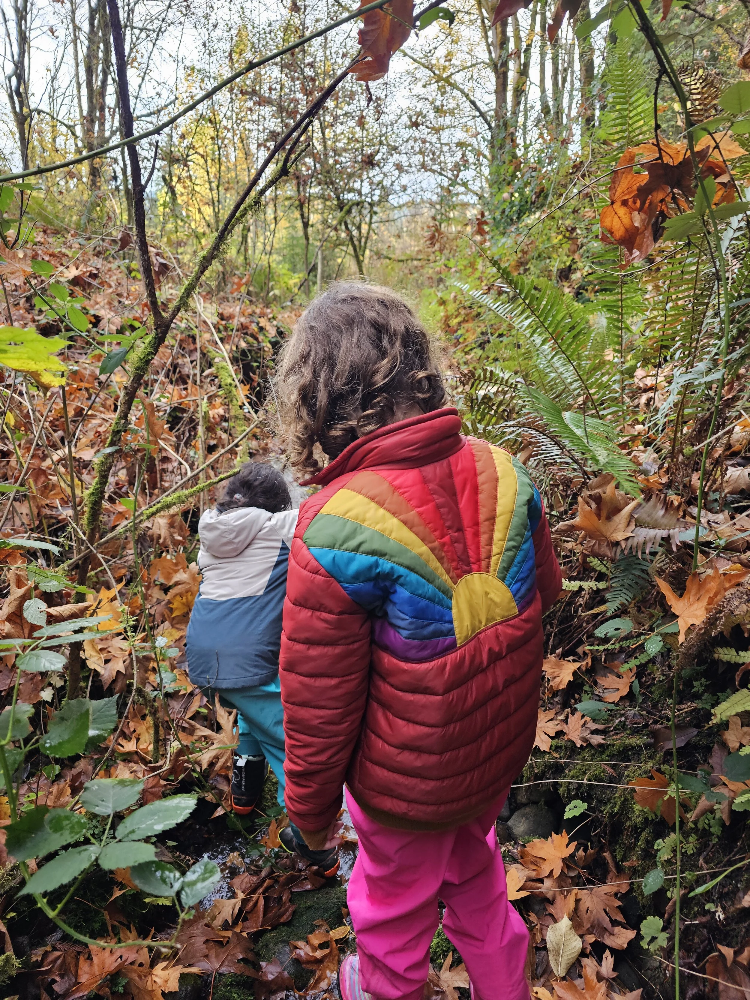 Two children exploring a forest trail in autumn, wearing colorful jackets, surrounded by fallen leaves and lush green ferns.
