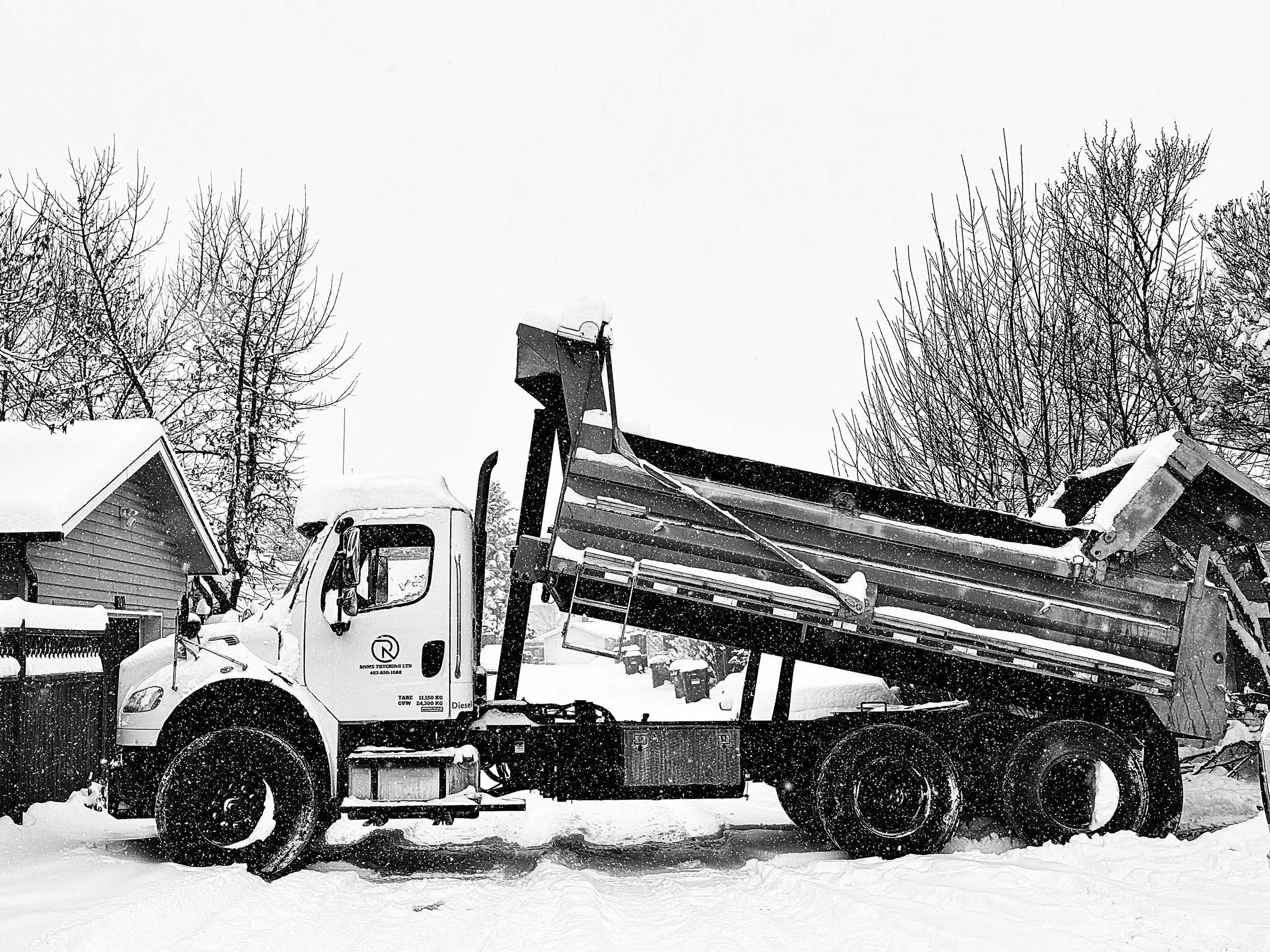 A snow-covered dump truck with the bed raised, parked in a snowy yard with leafless trees and houses in the background.
