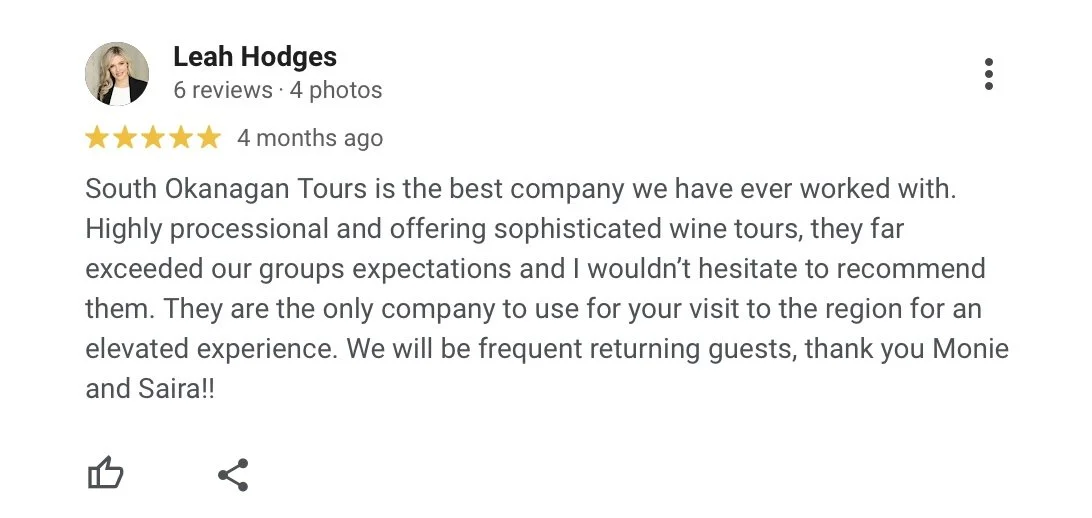 Screenshot of a positive customer review for South Okanagan Tours on an online platform, with a five-star rating and text praising the company's professionalism and wine tour offerings.