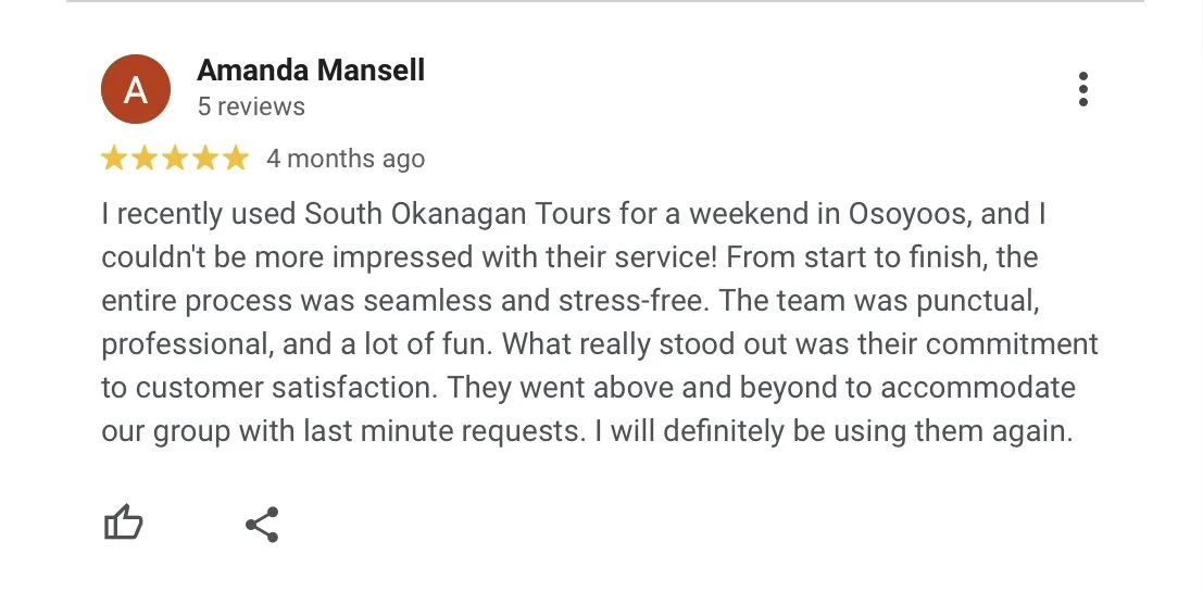 Google review with five stars for South Okanagan Tours, praising the service for a weekend in Osoyoos, mentioning professionalism, punctuality, and customer satisfaction.