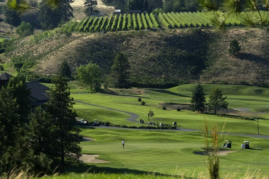 A scenic golf course with green fairways, golf carts, and players, surrounded by trees and rolling hills with vineyards on a hillside in the background.