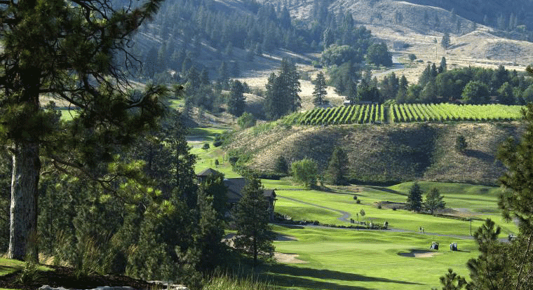Scenic view of a golf course surrounded by trees and hills with vineyards on a hillside in the background.
