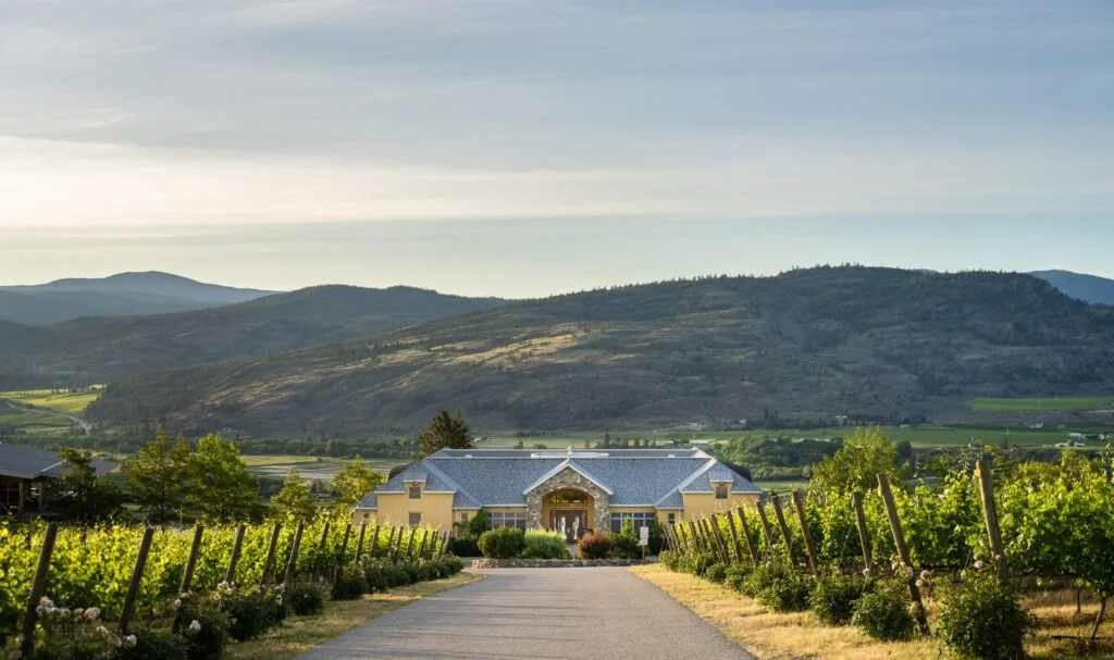 A large house surrounded by a vineyard with mountains in the background under a cloudy sky.