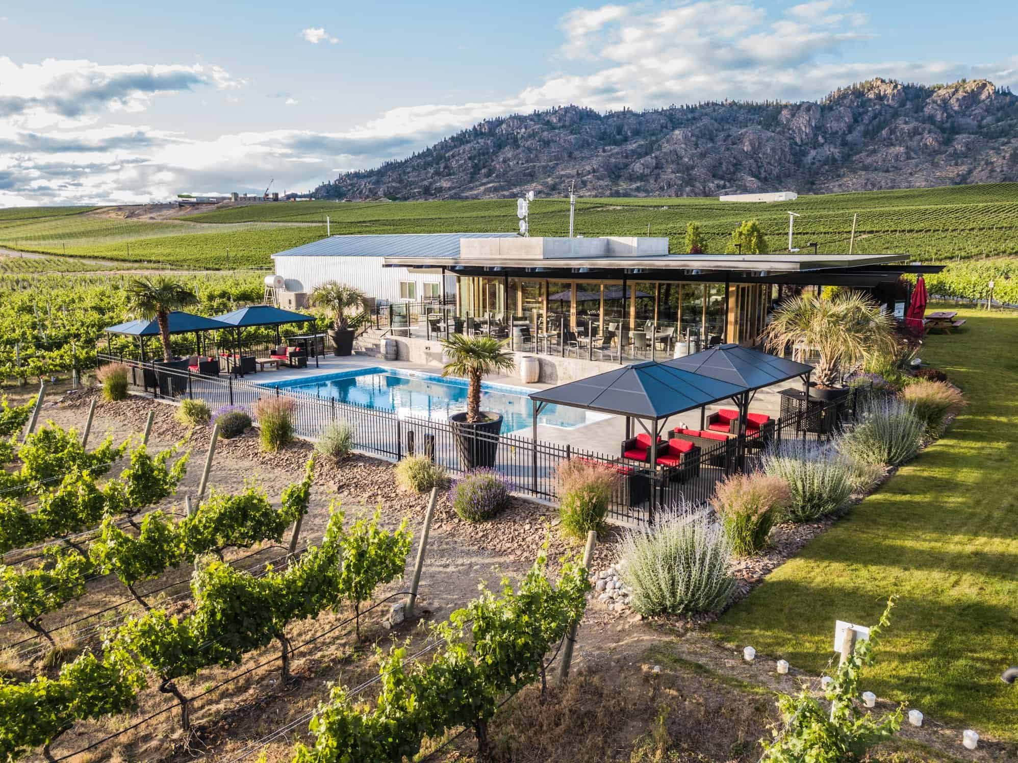 An outdoor swimming pool with lounge chairs and umbrellas, surrounded by a fence, set in a vineyard with rolling hills and mountains in the background.
