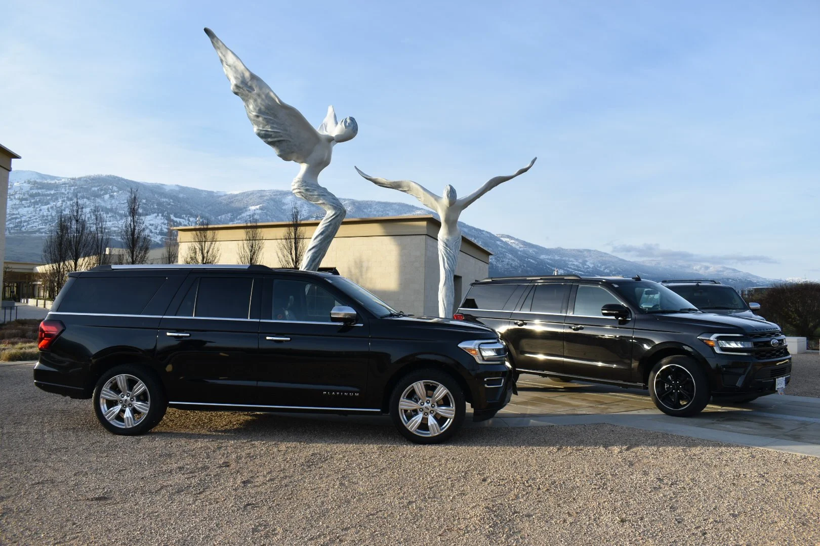 Ford Expedition Platinum