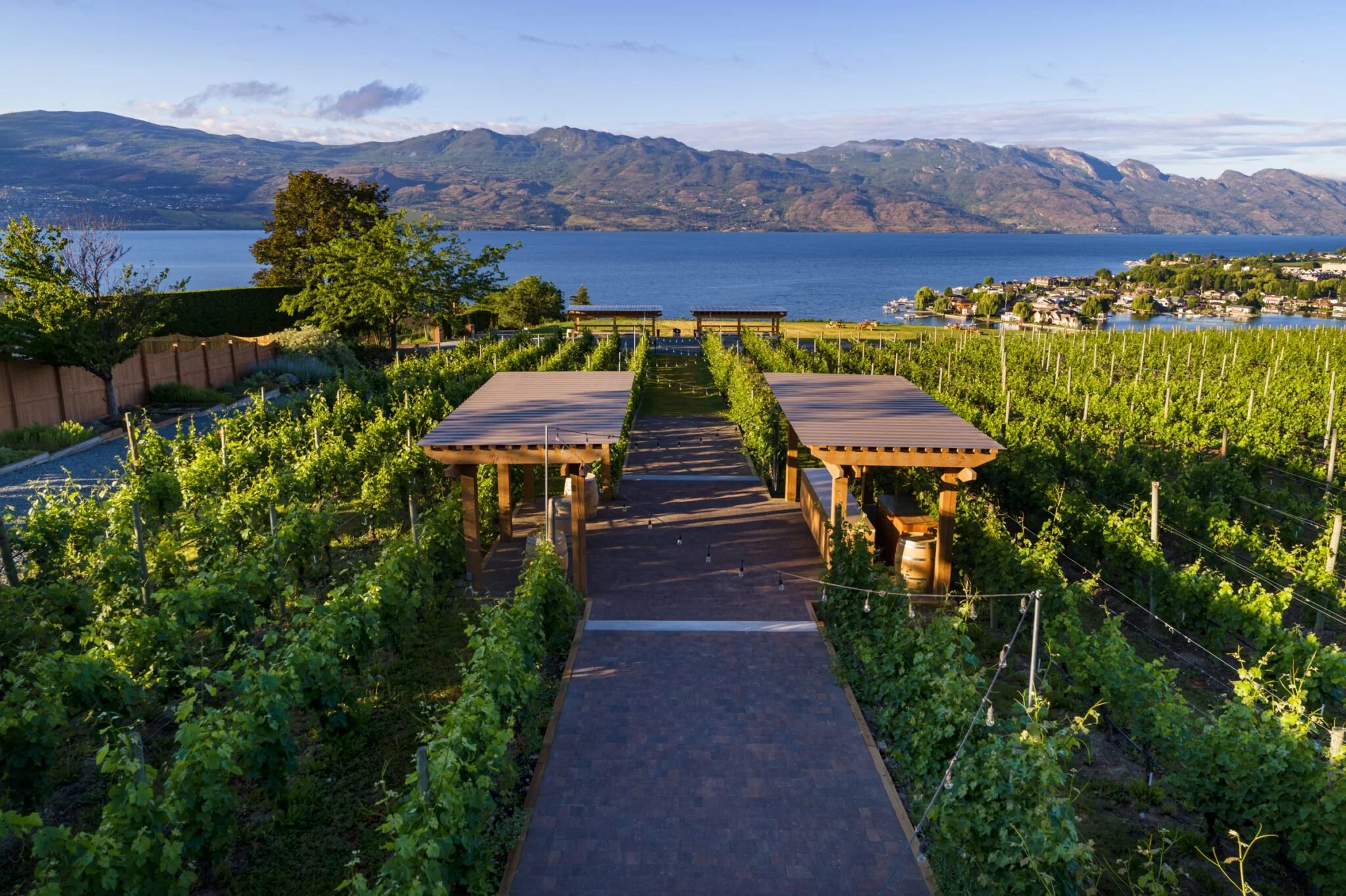 A scenic view of a vineyard overlooking a river with mountains in the background, featuring green grapevines, a paved pathway, and two wooden pergolas.