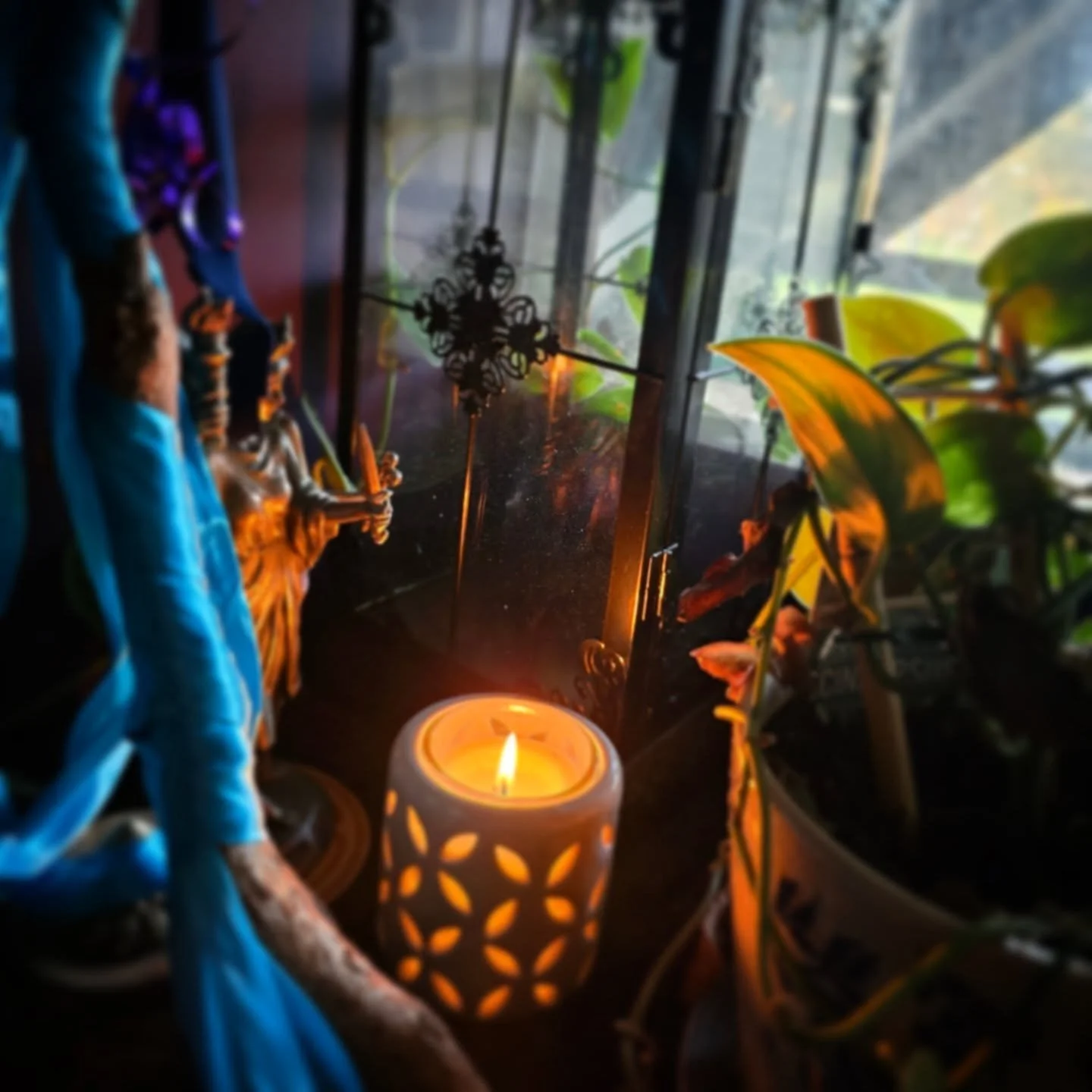 Witchy carousel wonders for today ⚘️
1. Light in lantern panes and leaves
2. Do I buy this opshop painting? Also... must find the artist!
3. Deviant Moon High Priestess + WEB!
4. Me jonquils are popping off! Finally, Spring!
5. Mums don't have favour