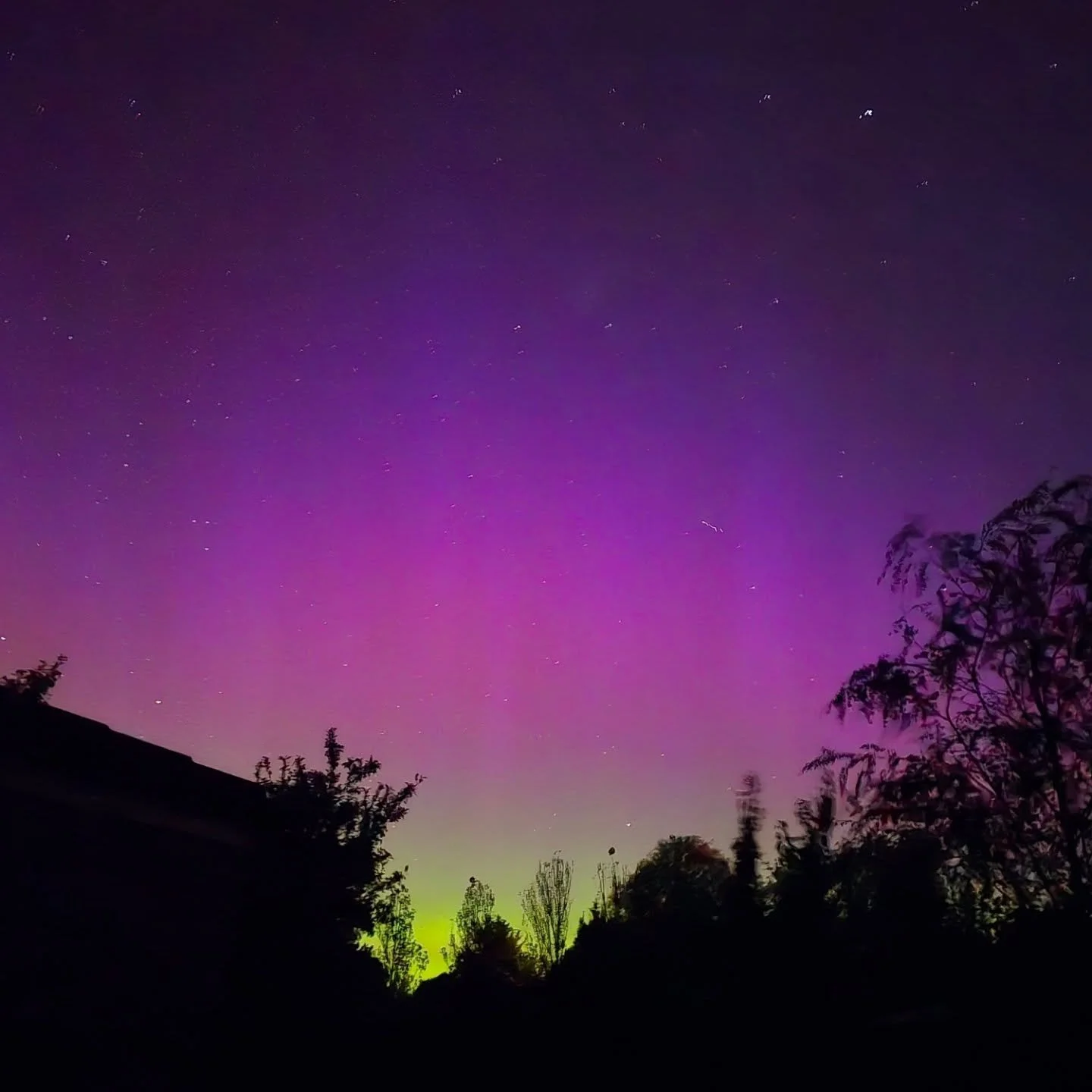 January 2026 was a LOT with lots of heavy family stuff going on, and I don't remember ever starting the year so busily. Grateful to travel and see so much fam &amp; friends, but glad to be starting new routine next month and being a homebody again. ?