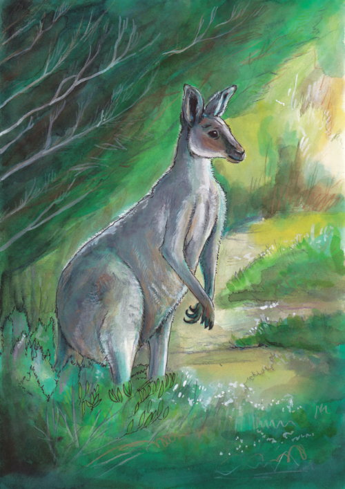 Watercolor painting of a kangaroo sitting on grass near a bush and a small stream in a lush green landscape.
